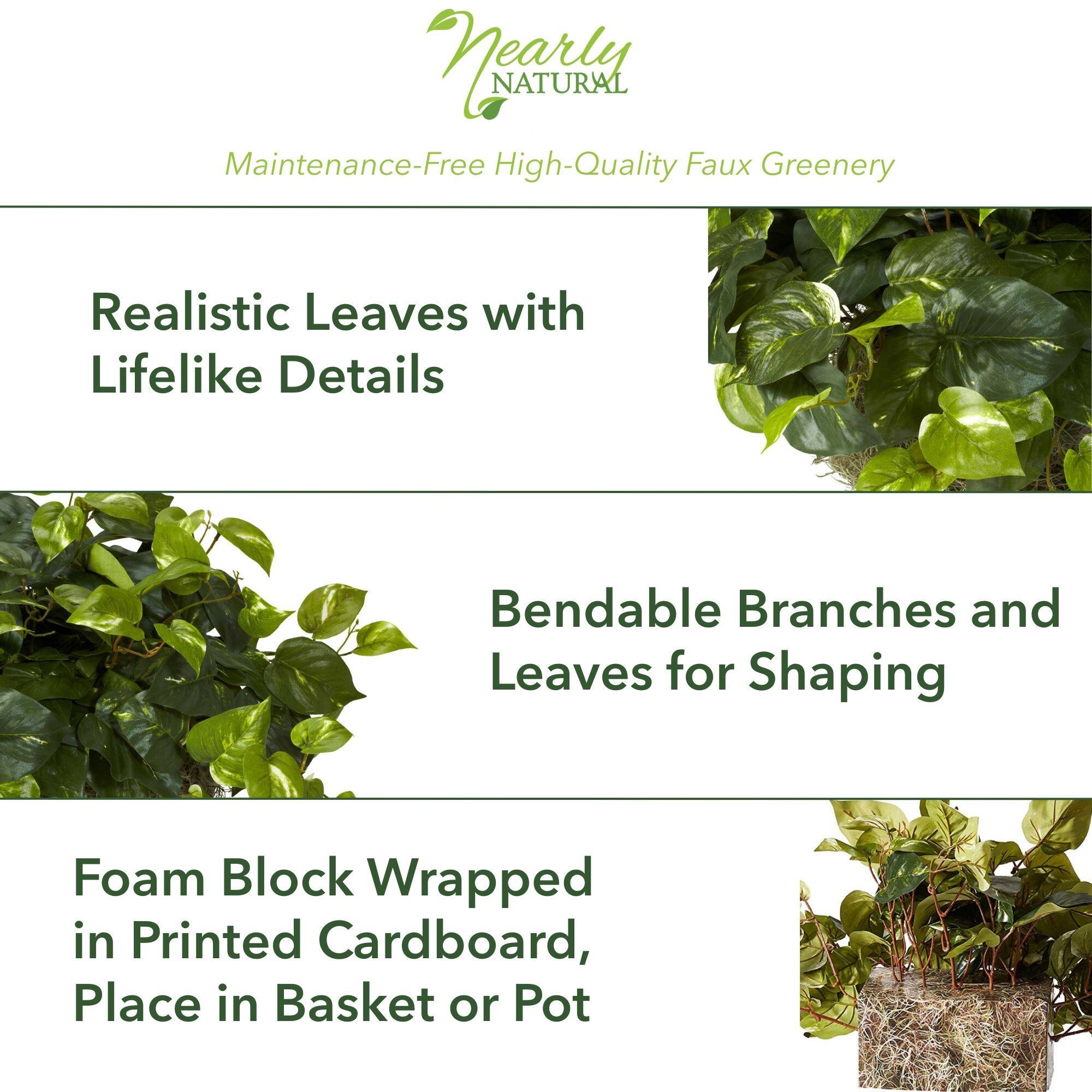 15" Pothos Ledge Plant