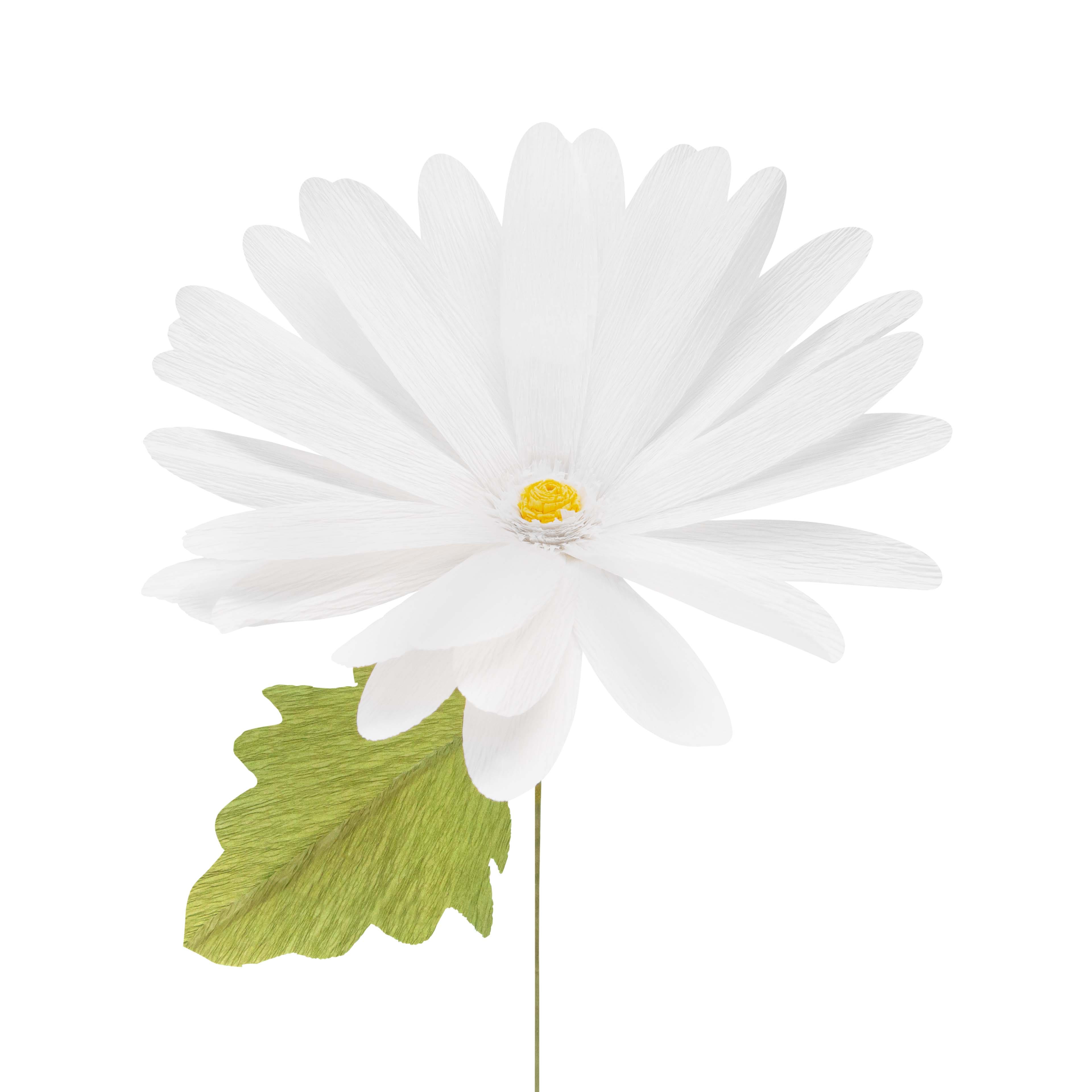 Large Daisy Crepe Paper Flower Kit by Recollections&#x2122;