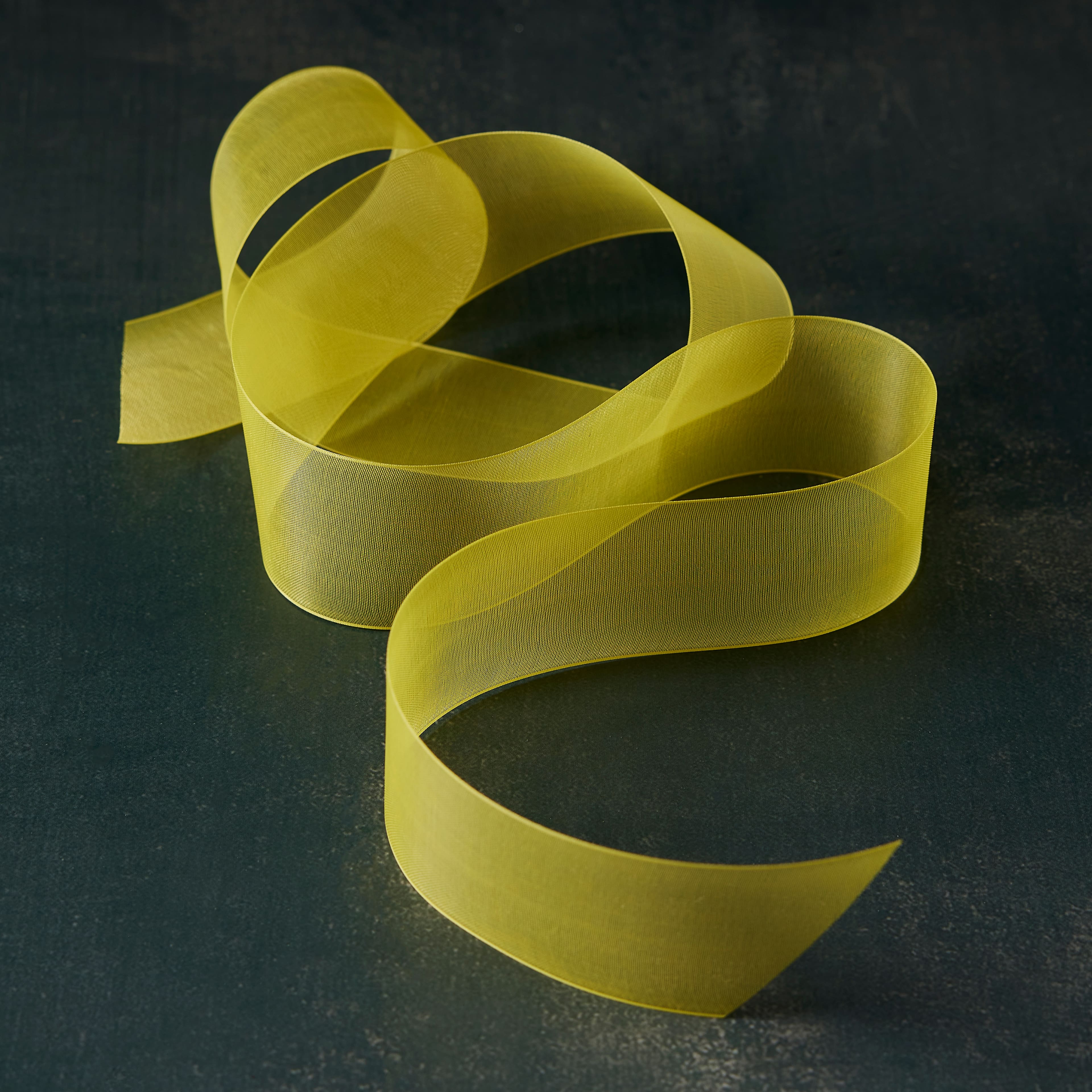 1.5" x 3yd. Organza Ribbon by Celebrate It® Classic