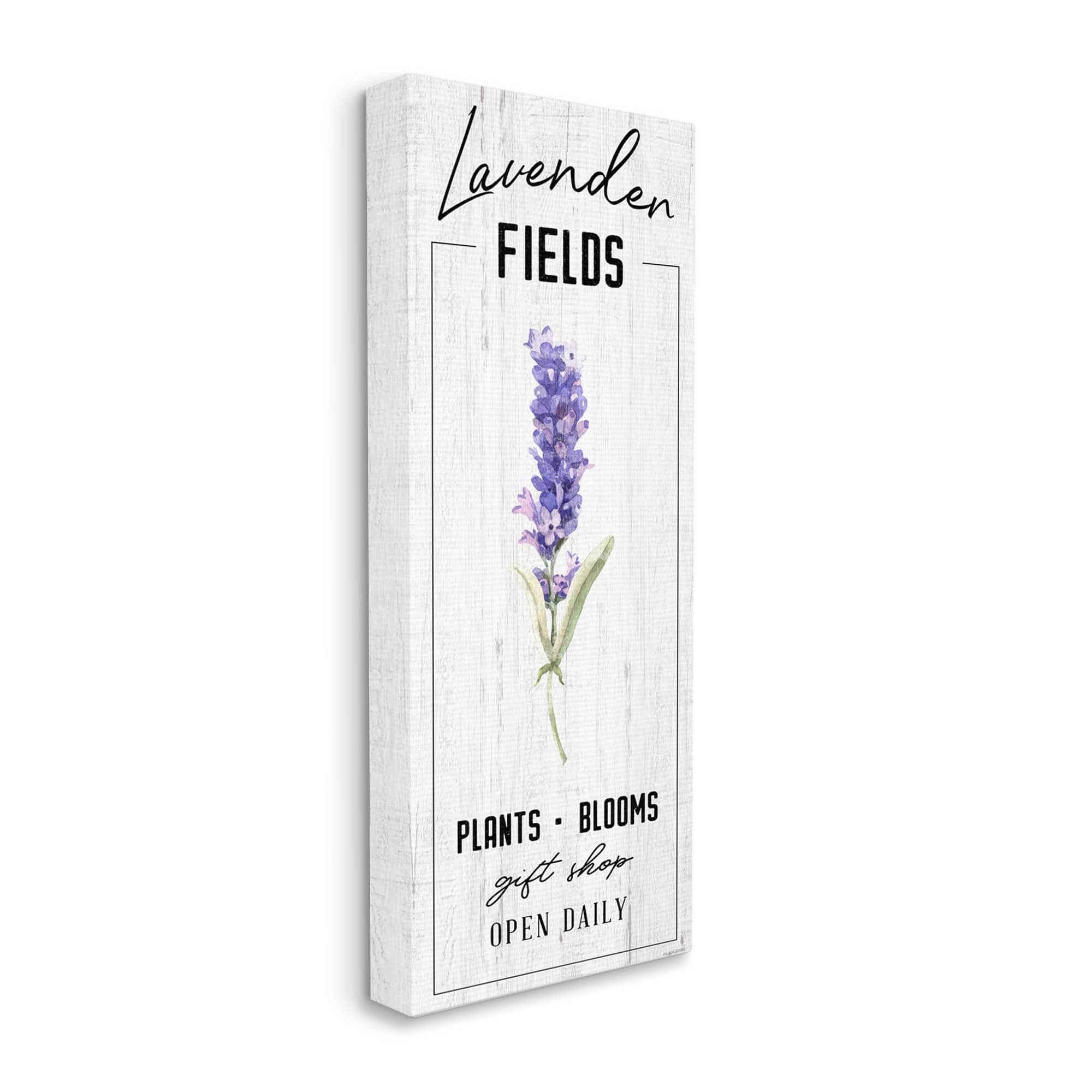 Stupell Industries Lavender Fields Purple Farm Florals Gift Shop Sign Canvas Wall Art
