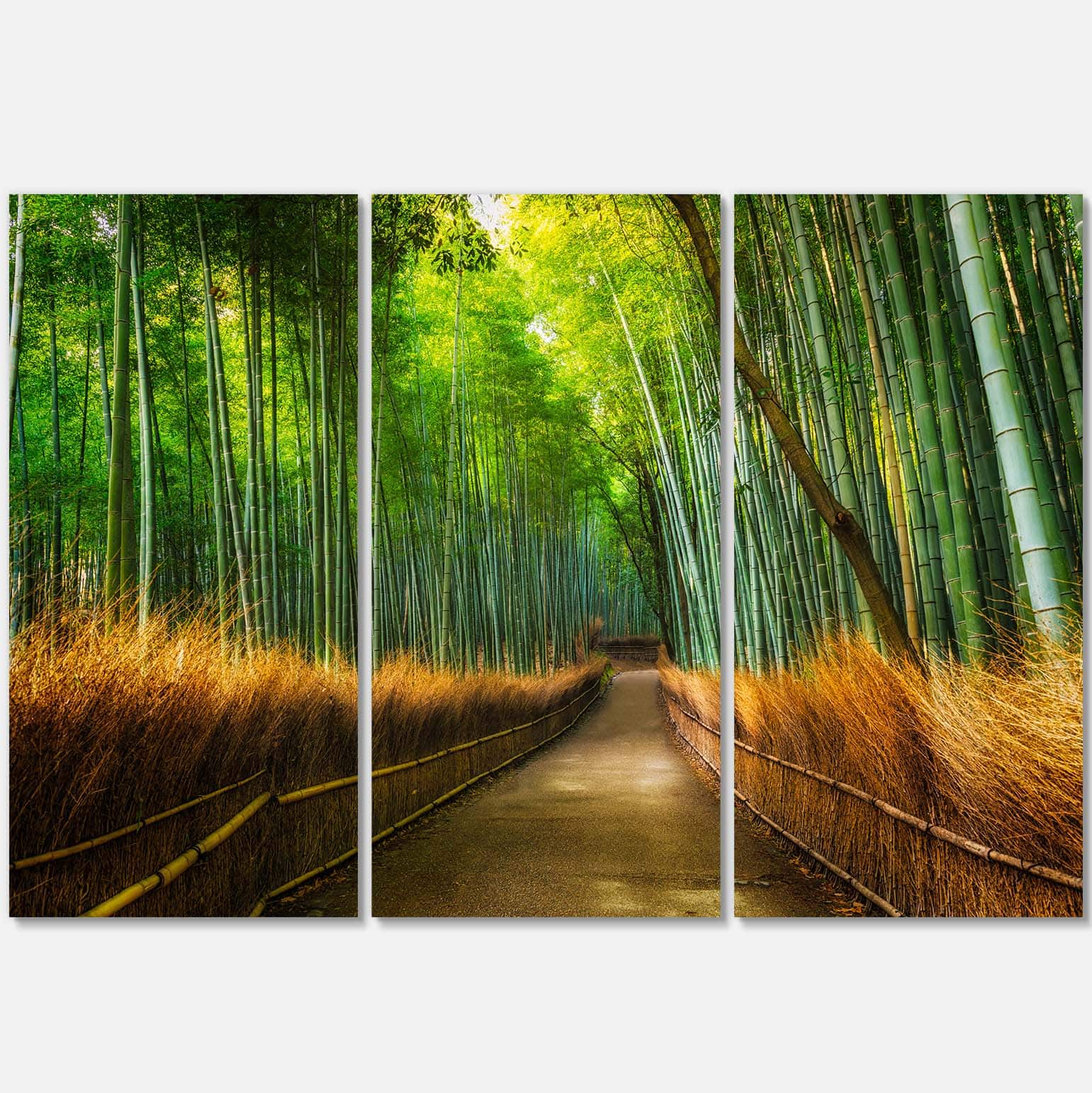 Designart - Arashiyama Bamboo Grove Japan - Oversized Forest Canvas Artwork