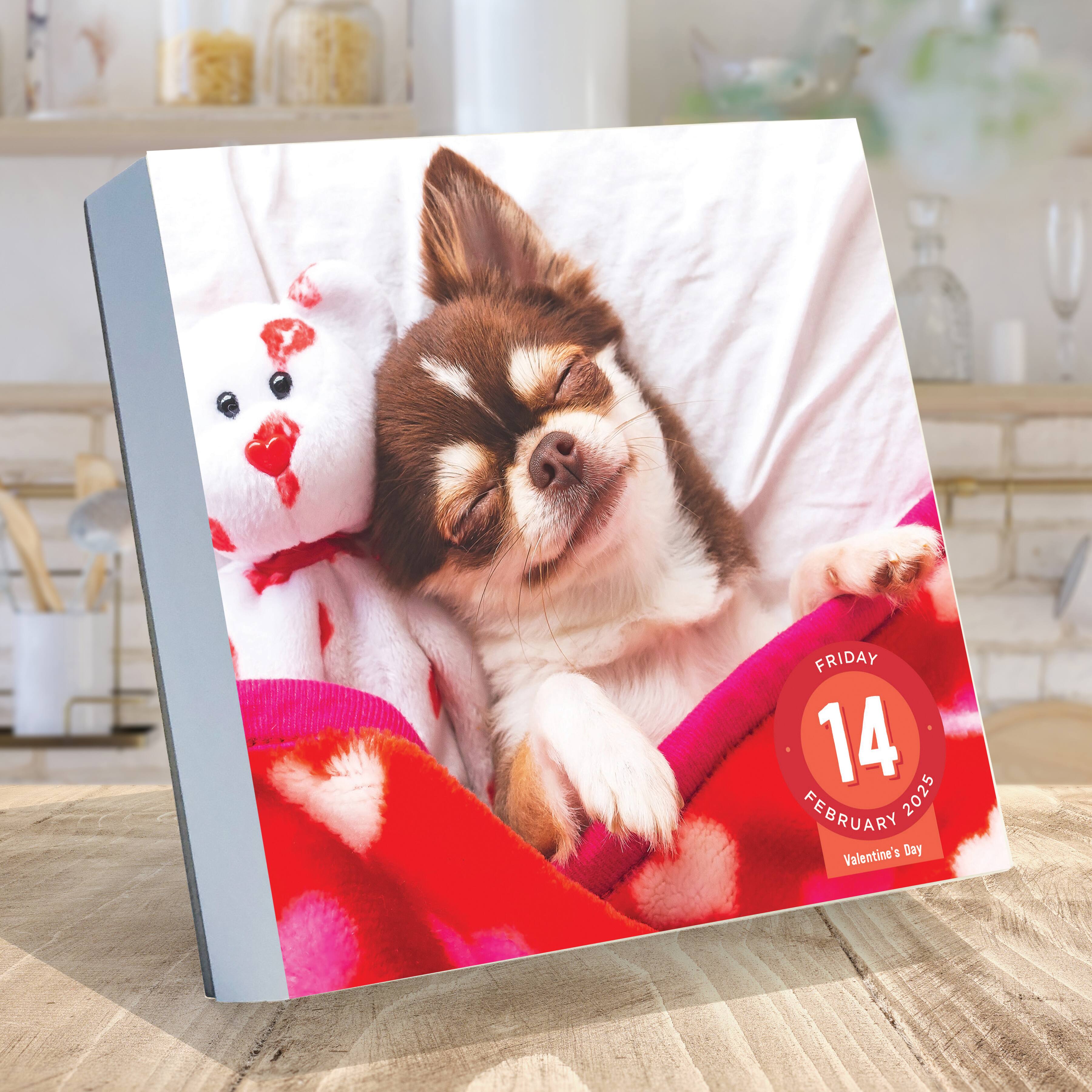 TF Publishing 2025 Dog A Day Daily Desktop Calendar