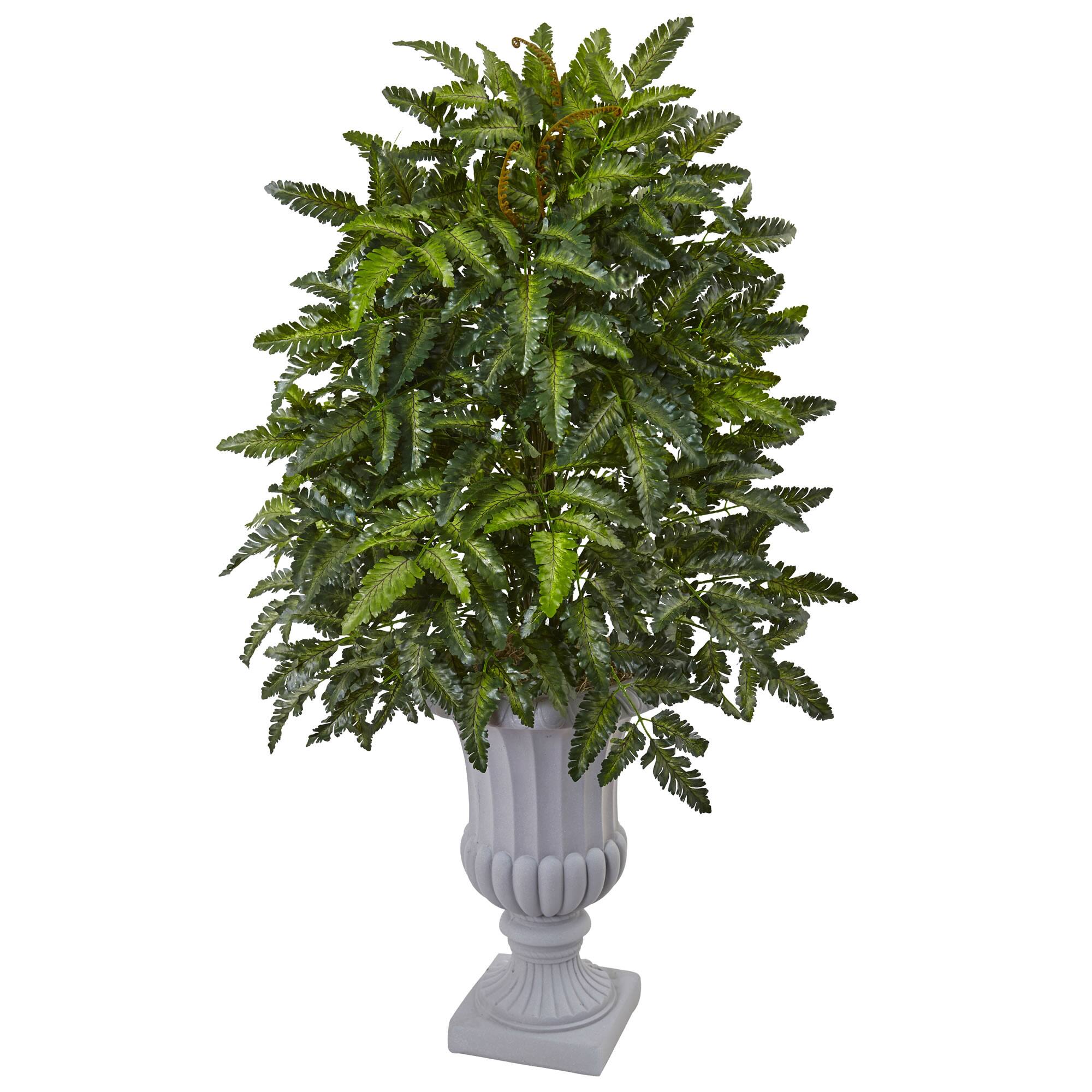 3.5ft. Bracken Fern in Decorative Planter | Michaels