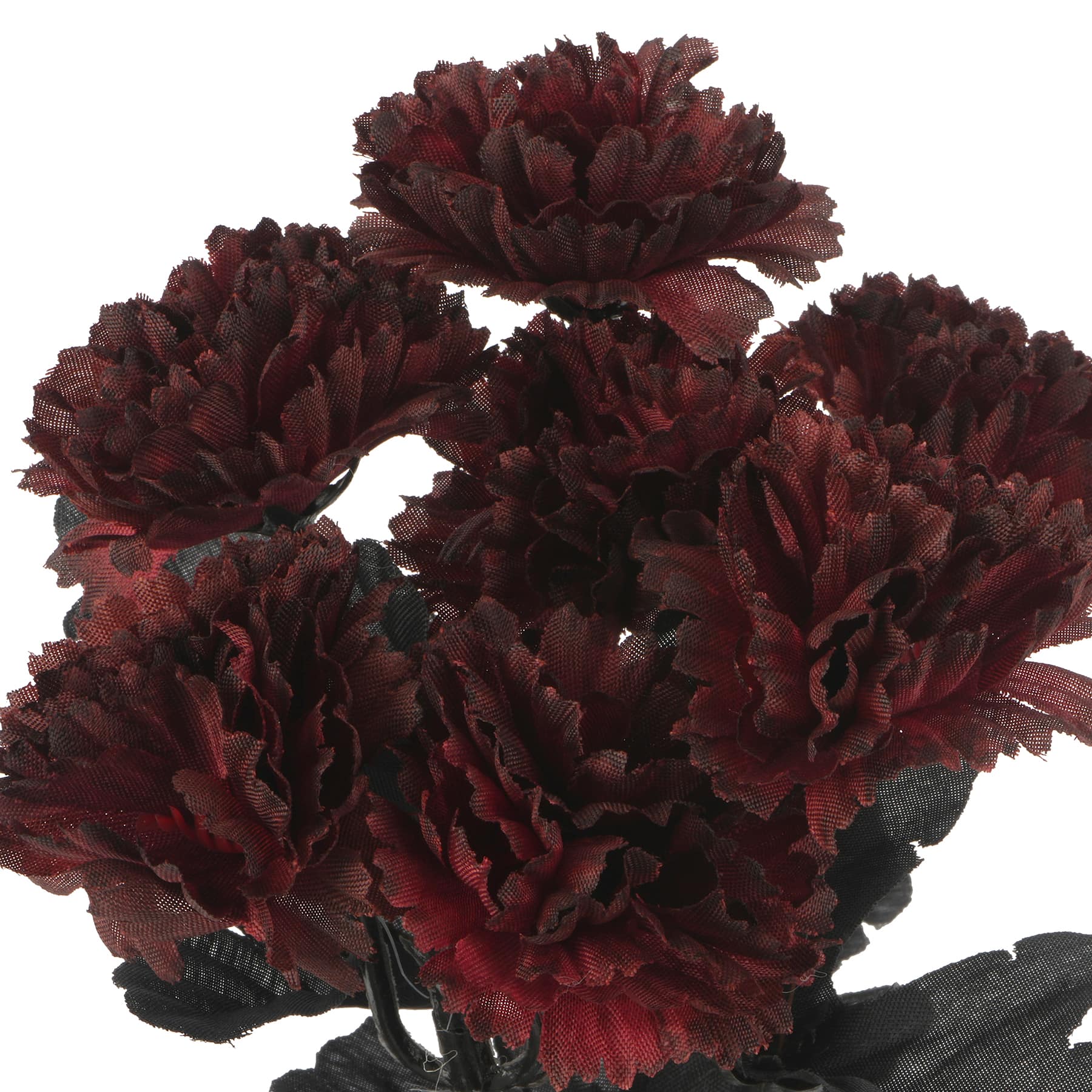Halloween Mum Bush by Ashland&#xAE;