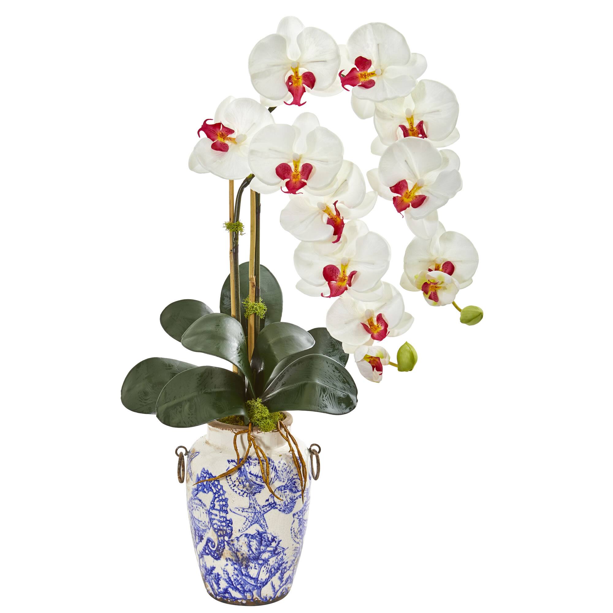 31in. Phalaenopsis Orchid Artificial Arrangement in Weathered Ocean
