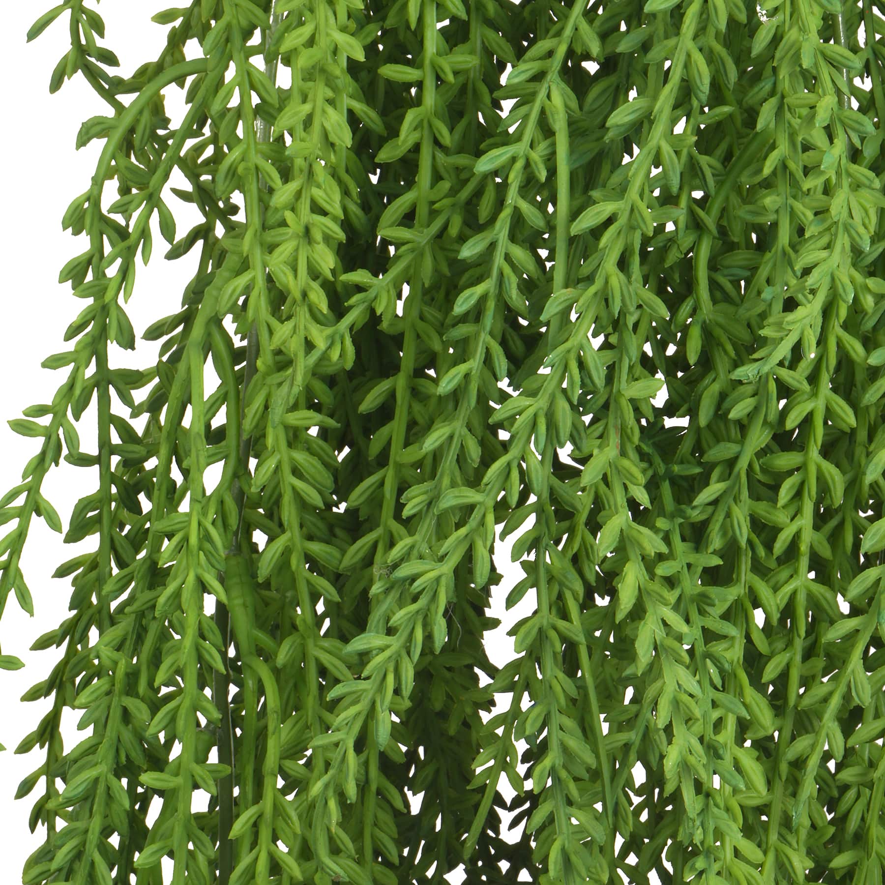 31&#x22; Weeping Willow Bush by Ashland&#xAE;