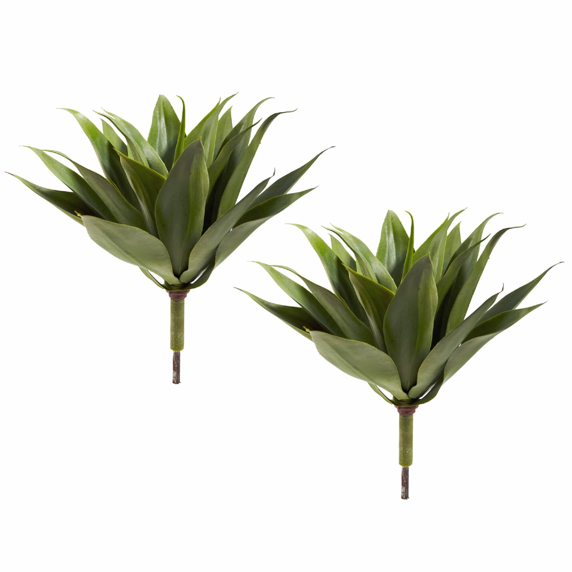 Agave Plant Spikes, 2ct.