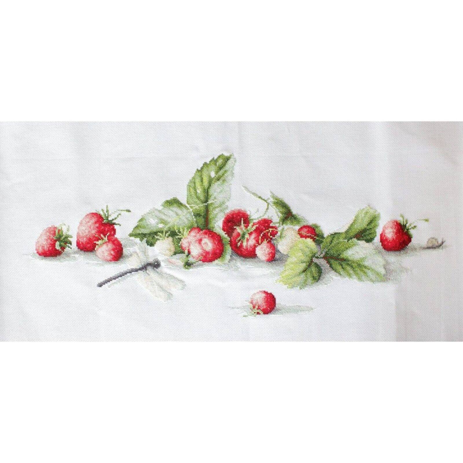 Luca-s Etude With Strawberries Counted Cross Stitch Kit