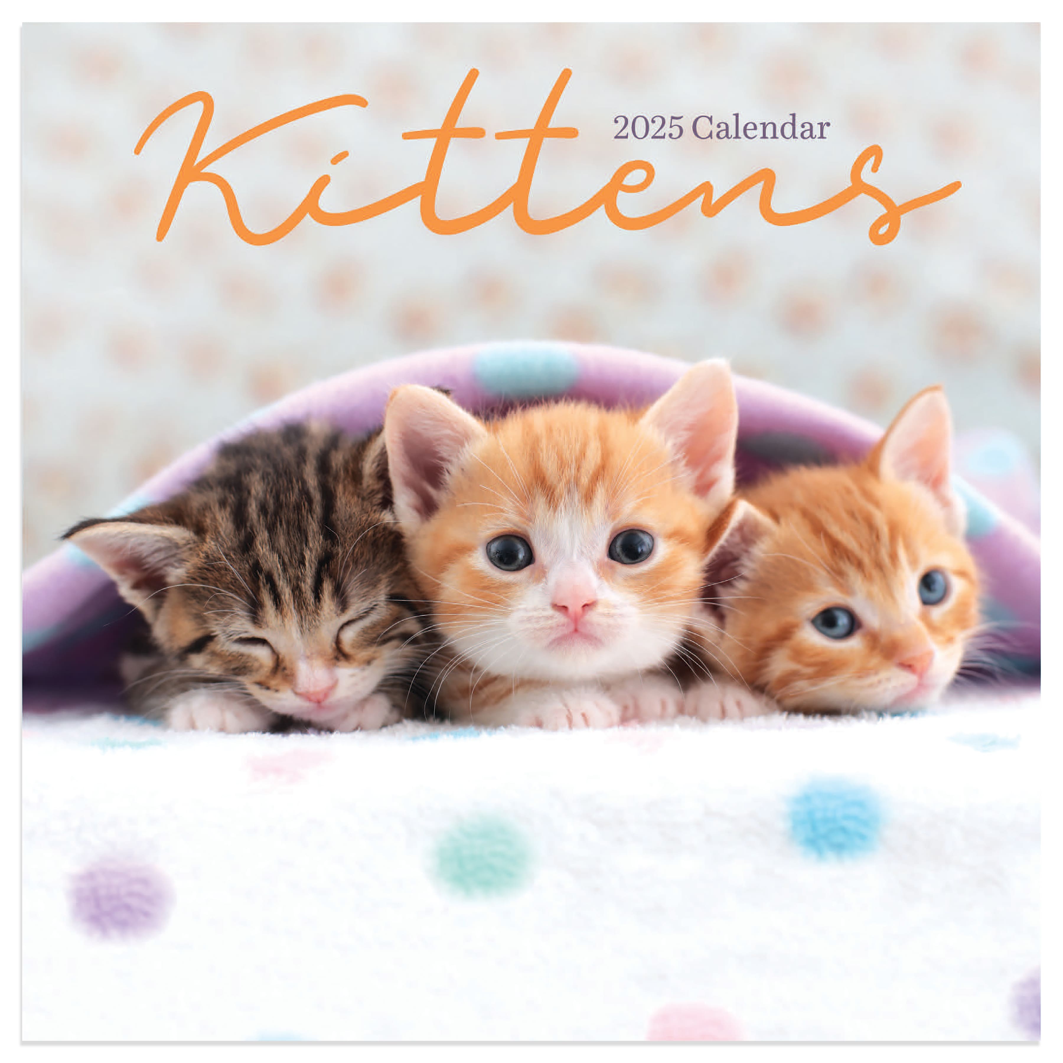 TF Publishing 2025 Kittens Mini Calendar