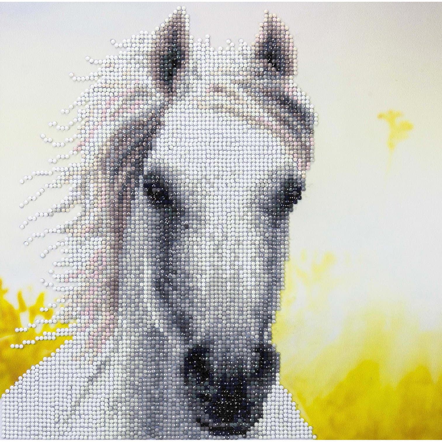 Diamond Art Intermediate White Horse Kit