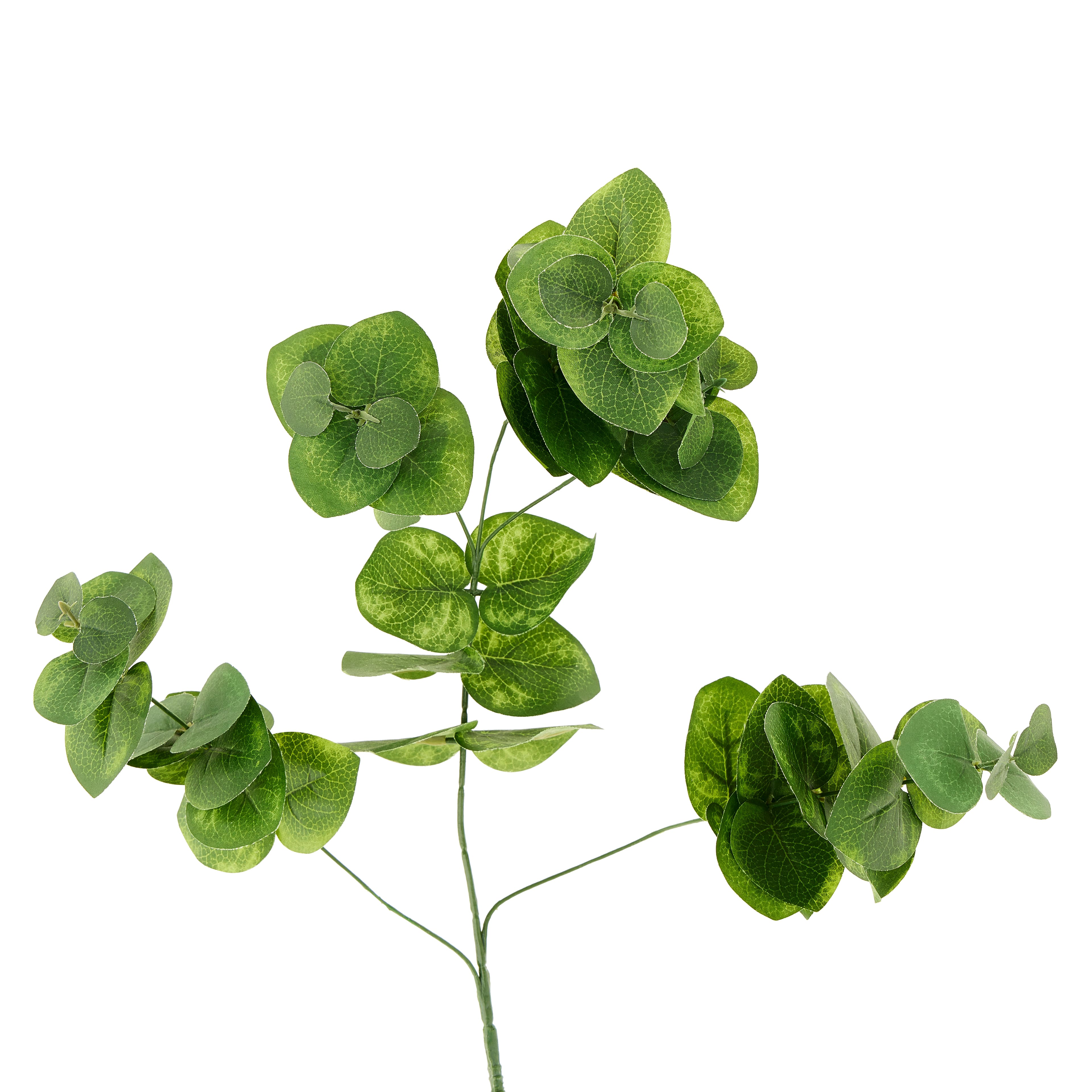 12 Pack: Green Eucalyptus Branch by Ashland®
