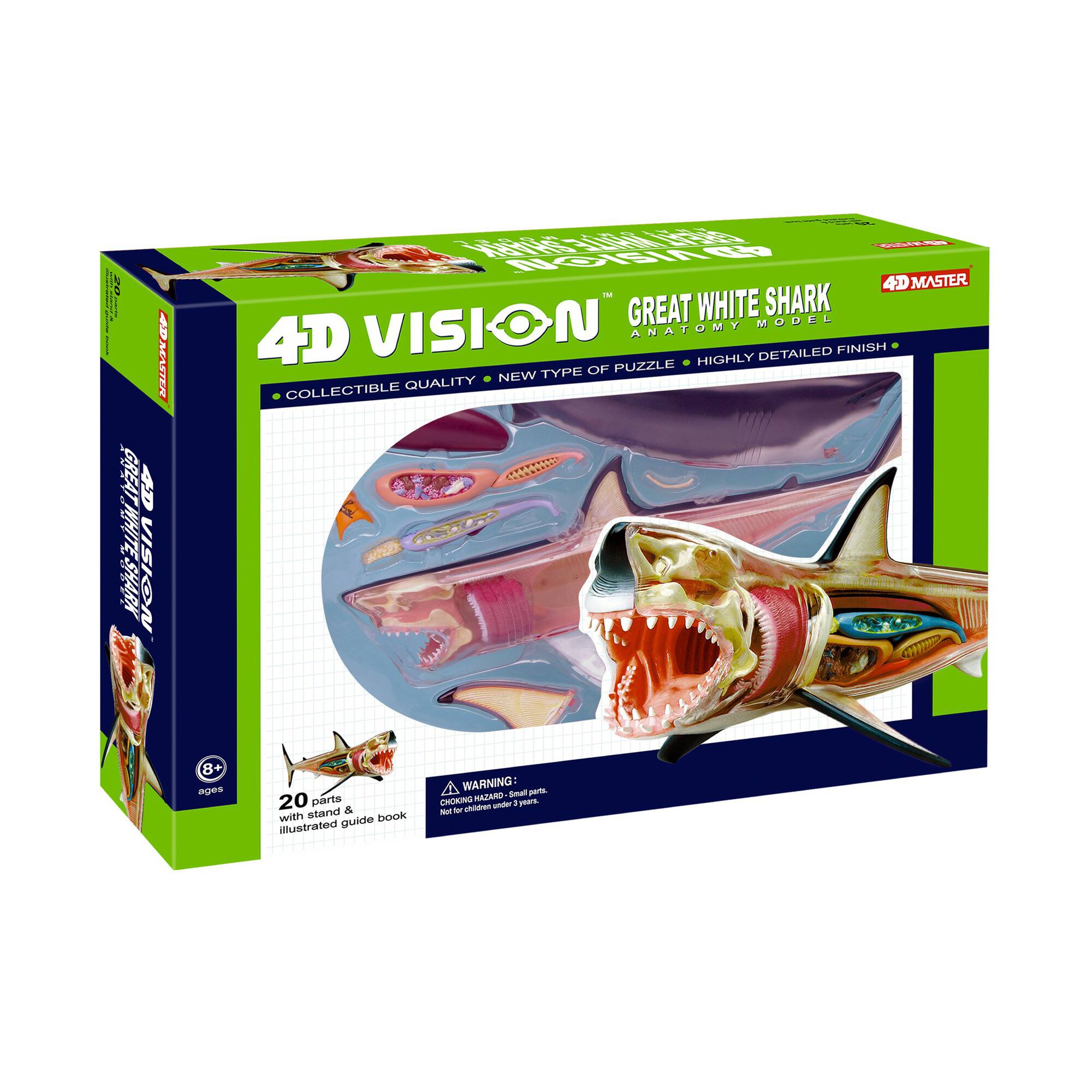 4D Vision&#x2122; Great White Shark Anatomy Model