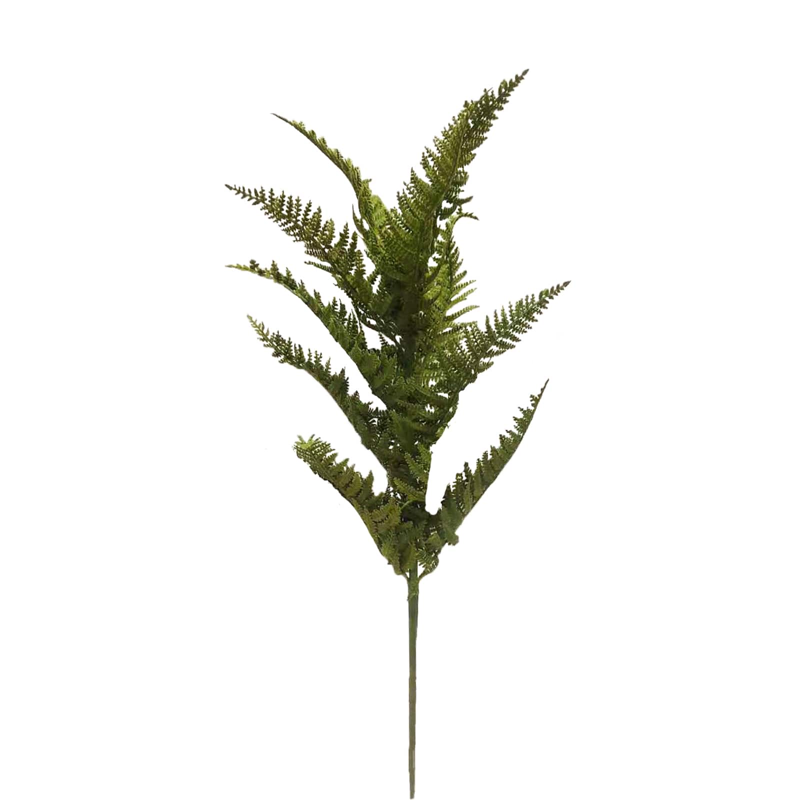 28&#x22; Dark Green Fern Stem by Ashland&#xAE;