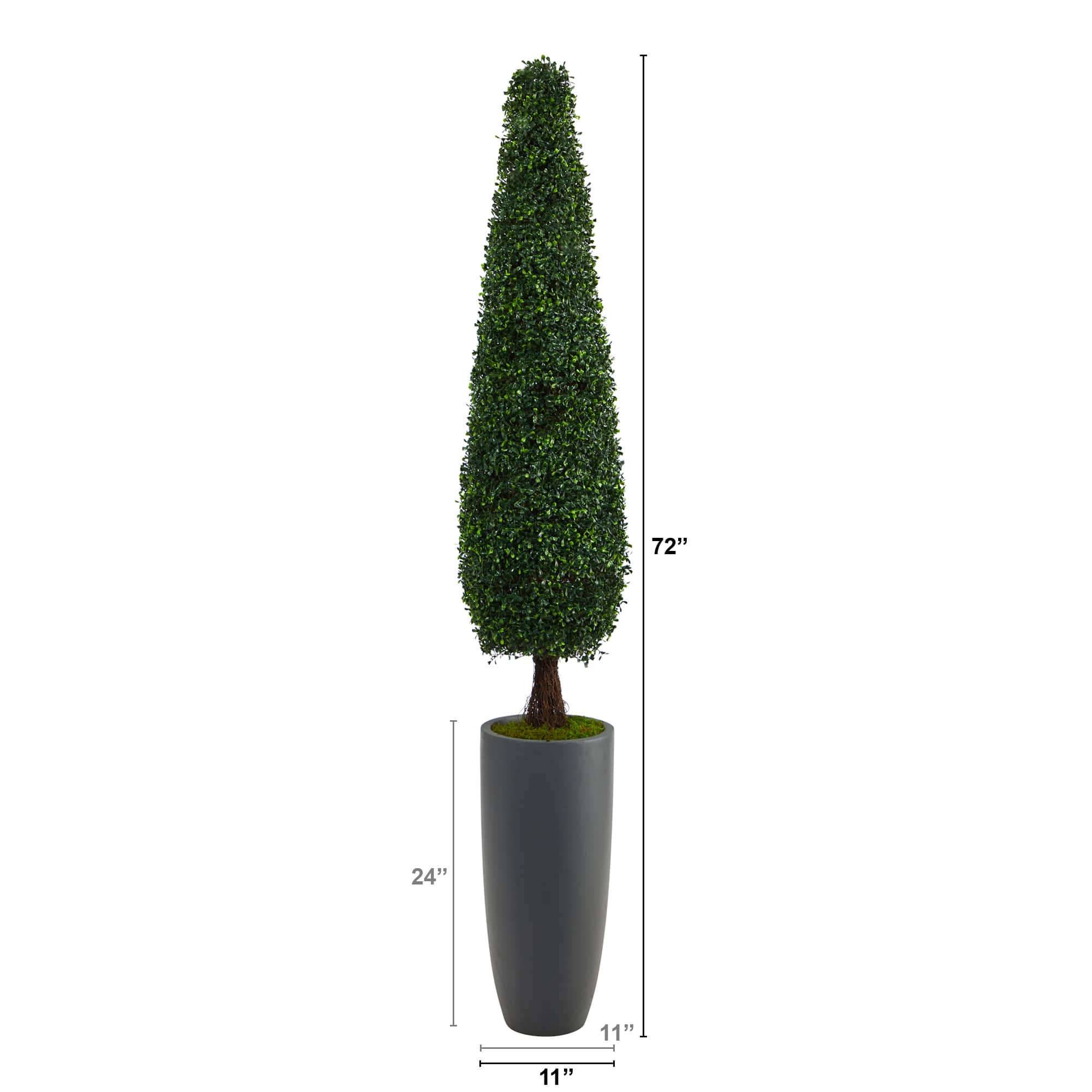 6ft. Boxwood Topiary in Tall Gray Planter