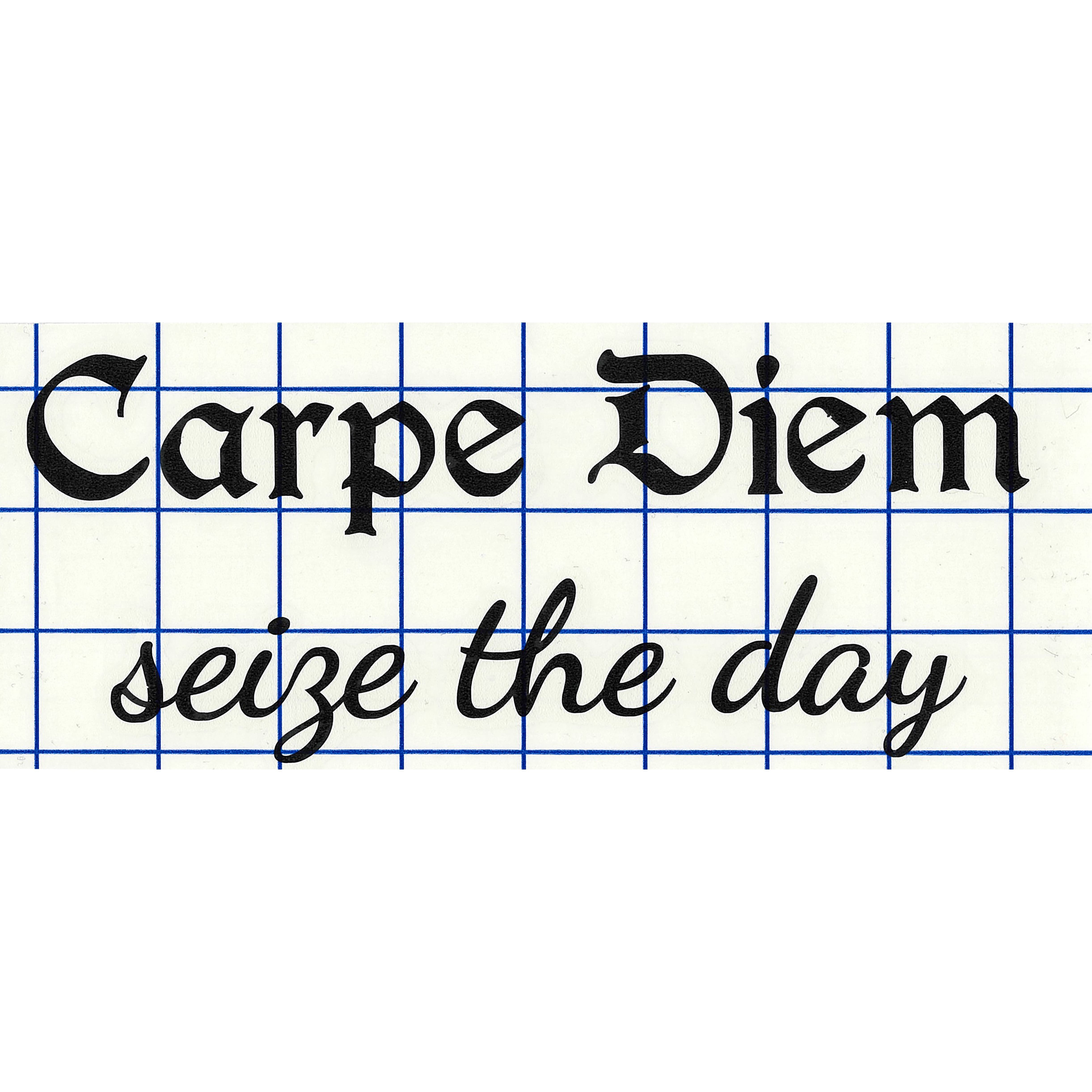 Leisure Arts&#xAE; Vinyl Carpe Diem Seize The Day Black Wall Decal