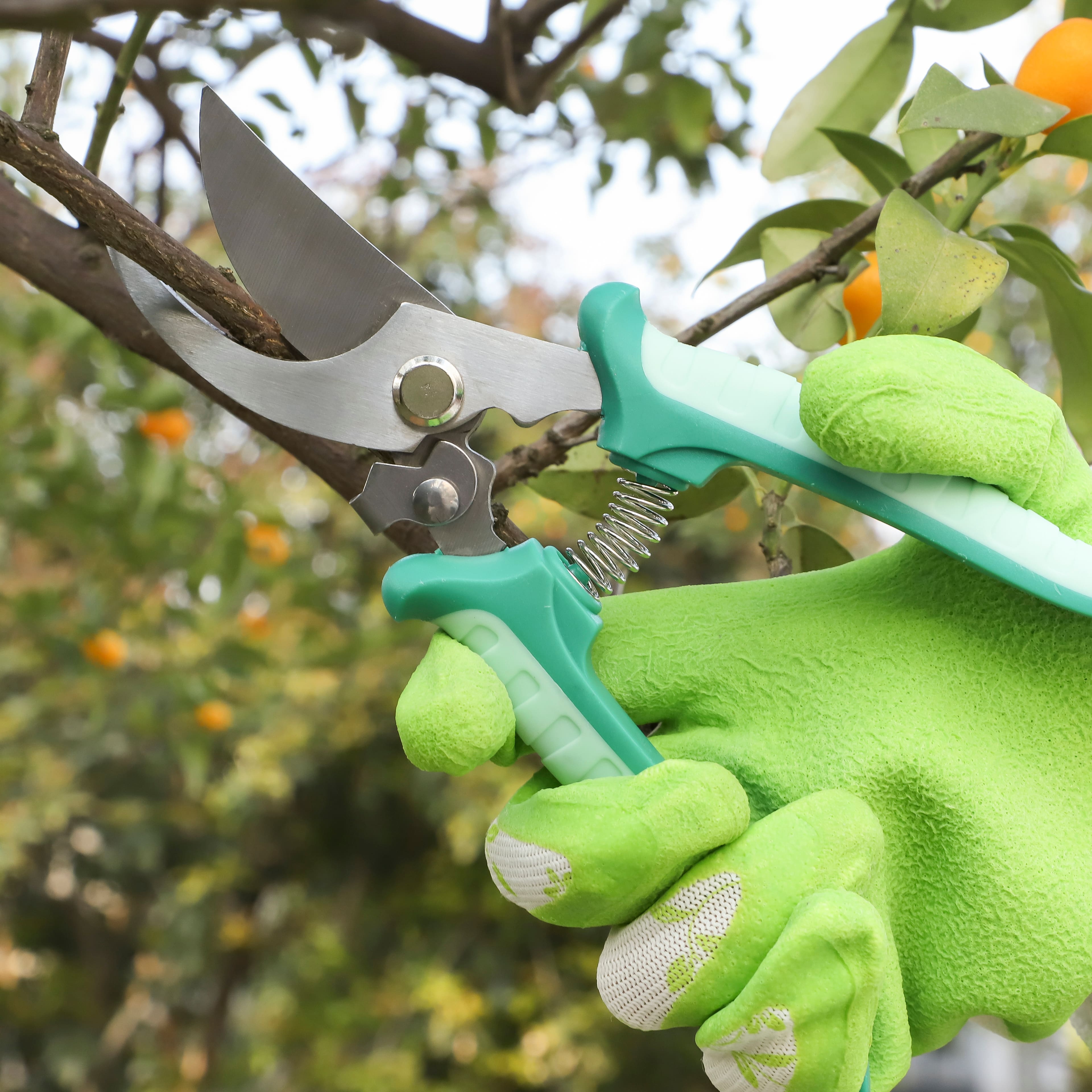 Floral Pruner by Ashland®