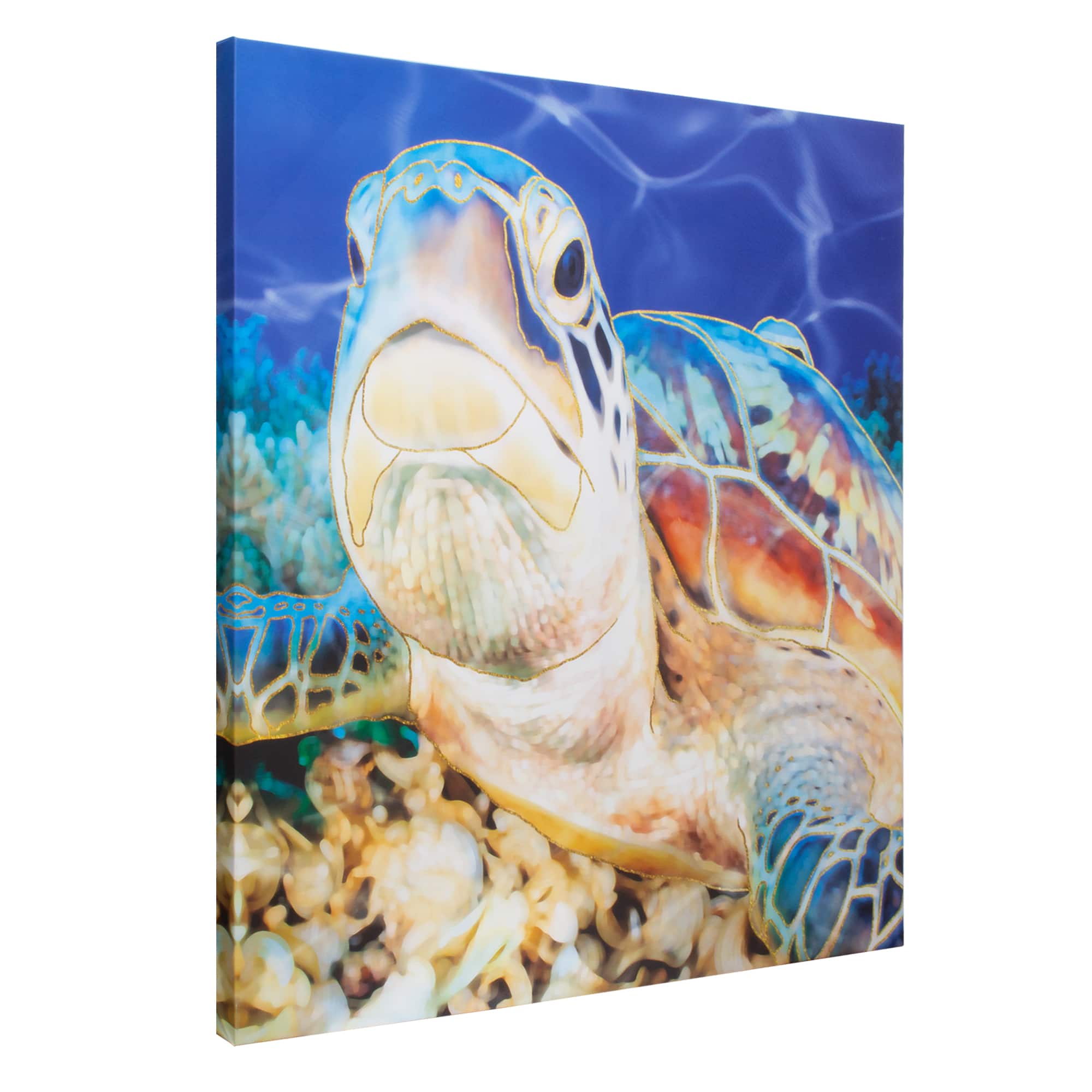 Sea Turtle Outdoor Canvas Art Print - 35&#x22;x35&#x22;
