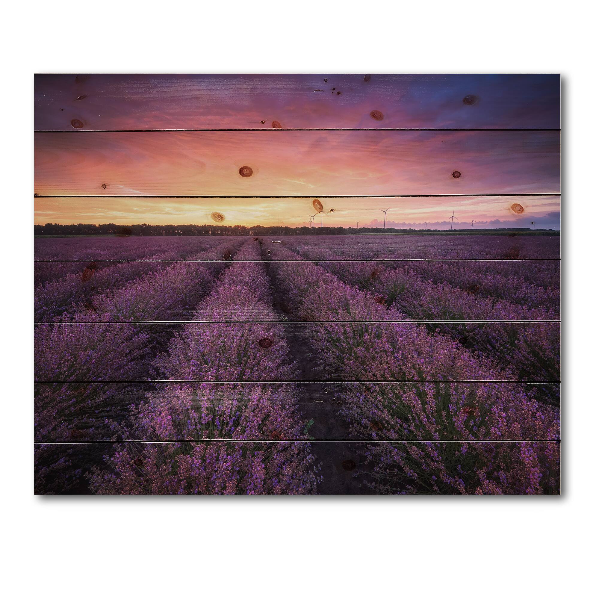 Designart - Sunrise &#x26; Dramatic Clouds Over Lavender Field XIII - Farmhouse Print on Natural Pine Wood