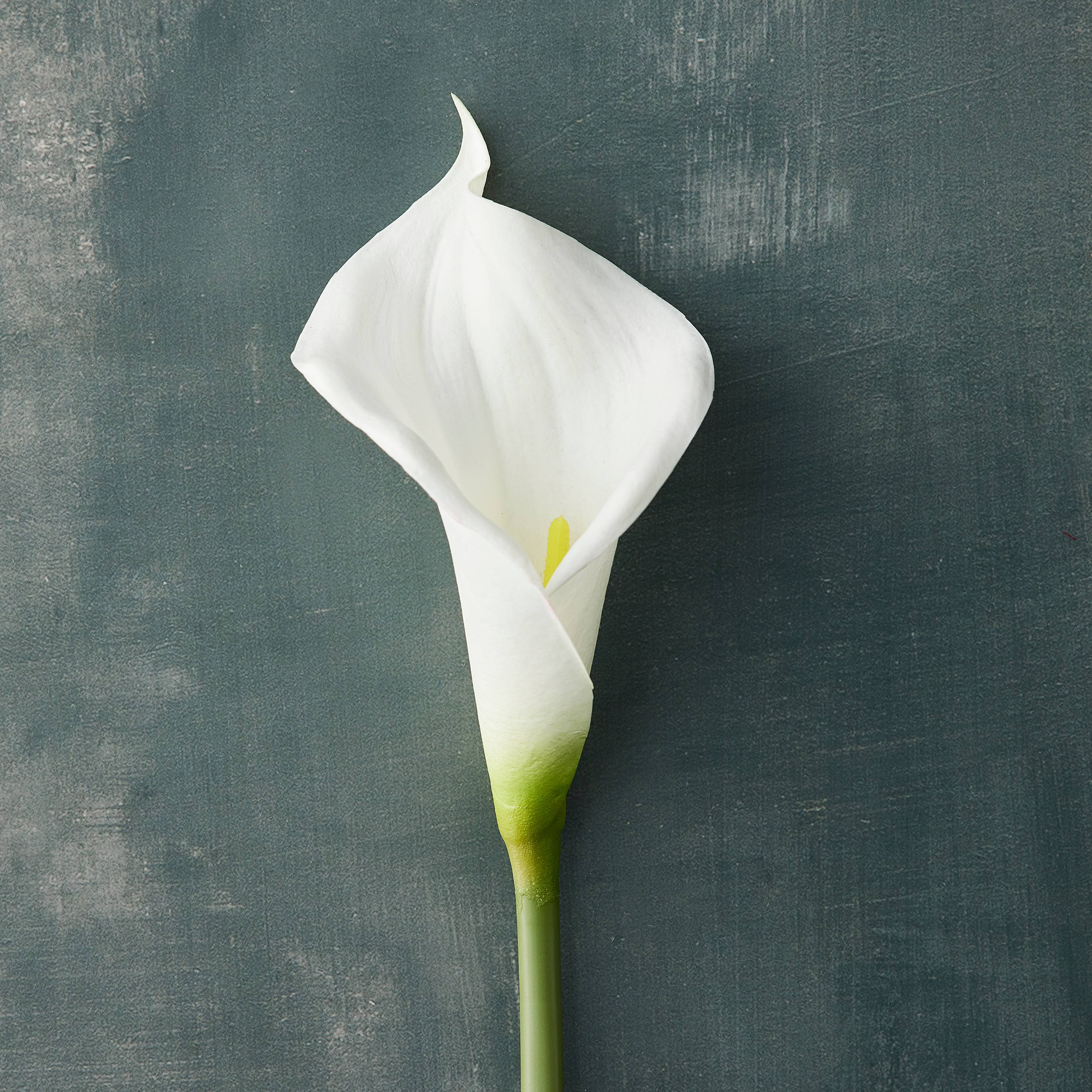 White Calla Lily Stem by Ashland®