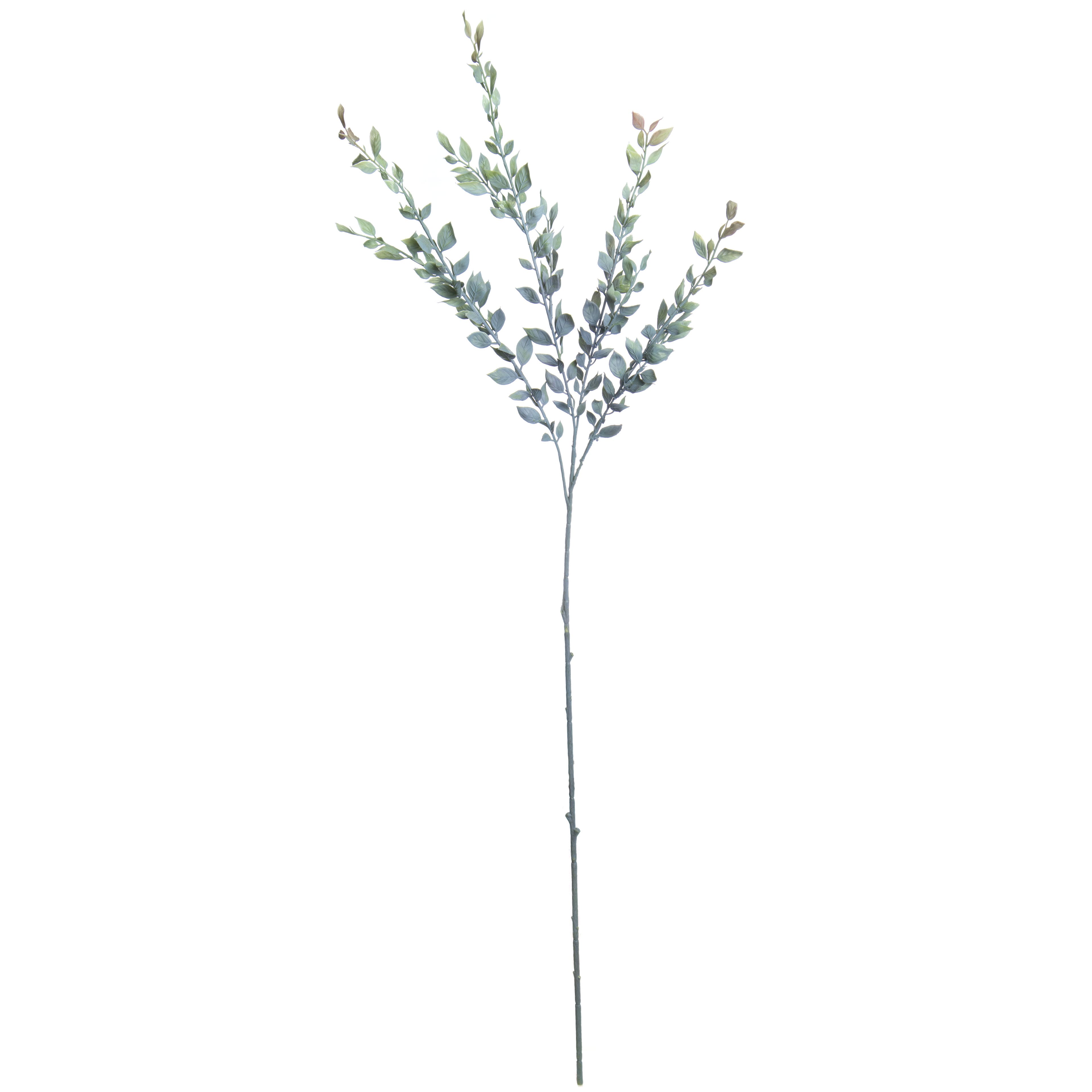 38.5&#x22; Green Ruscus Stem by Ashland&#xAE;