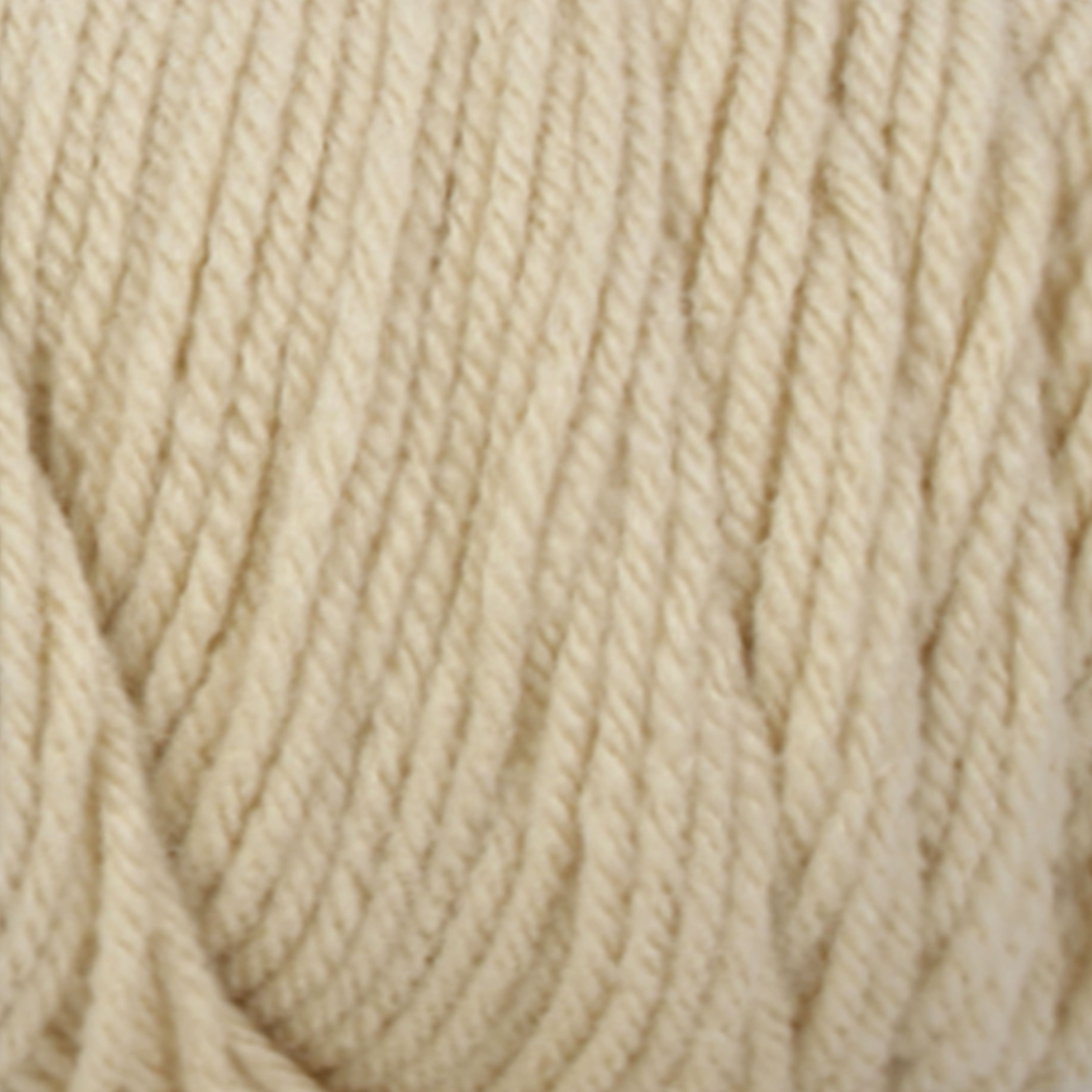 Big Twist&#xAE; Value Yarn