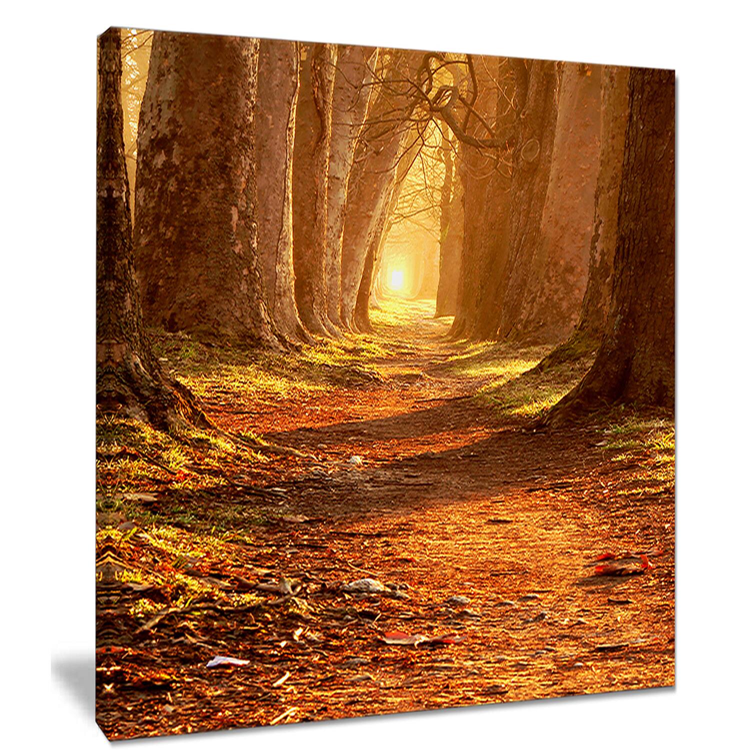 Designart - Magic Morning at the Fall Park - Landscape Photography Canvas Print