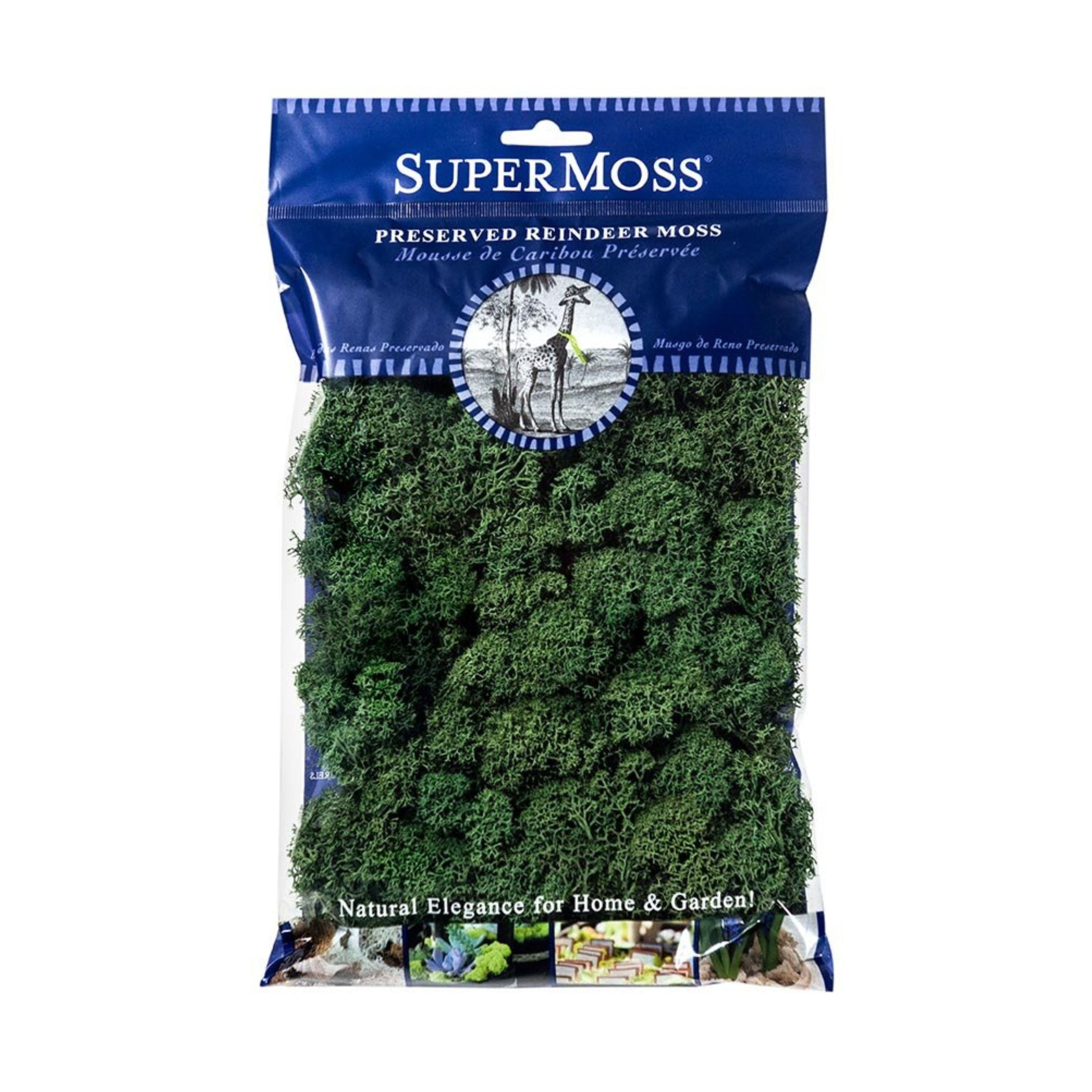 SuperMoss® Basil Reindeer Moss