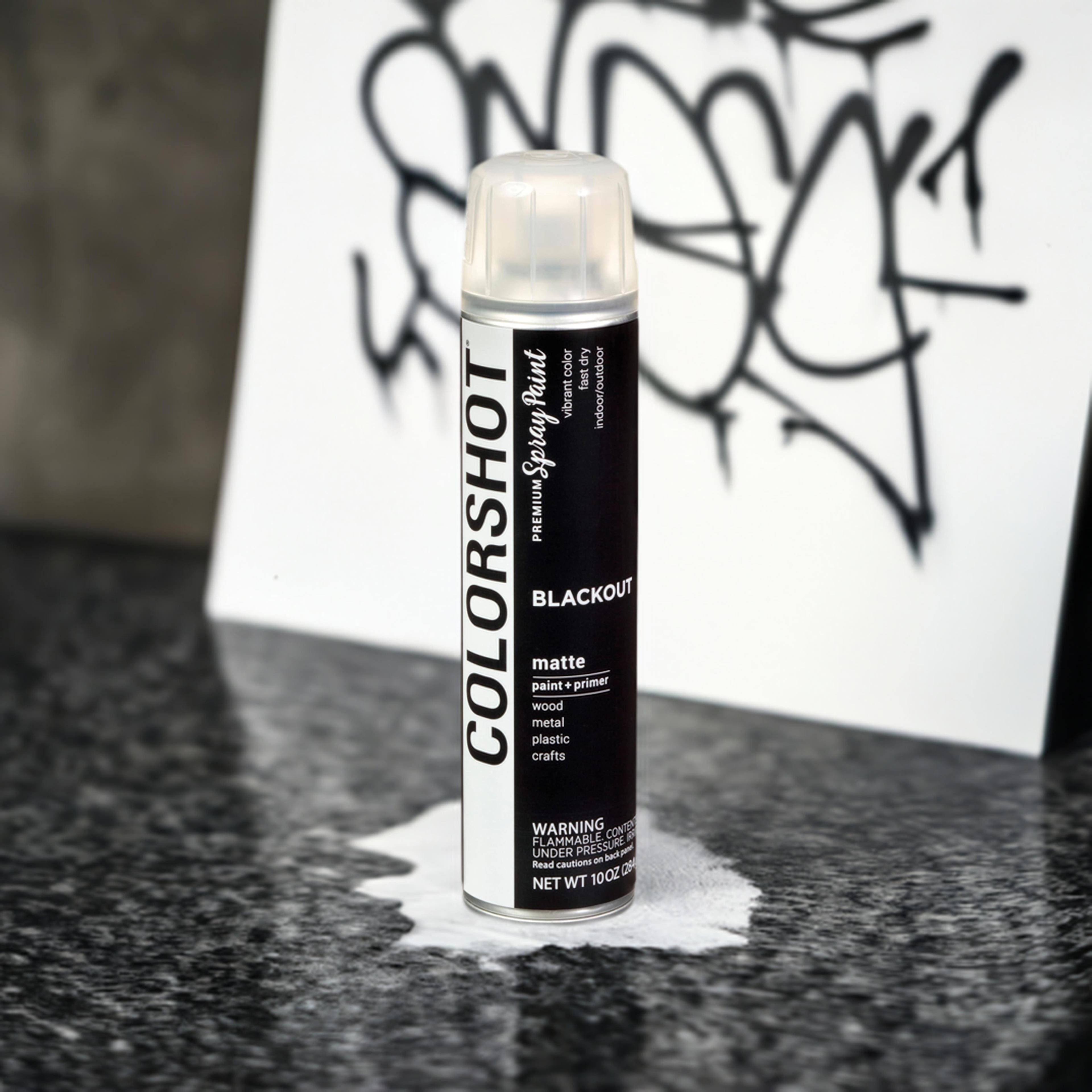 COLORSHOT&#xAE; Blackout Matte Spray Paint