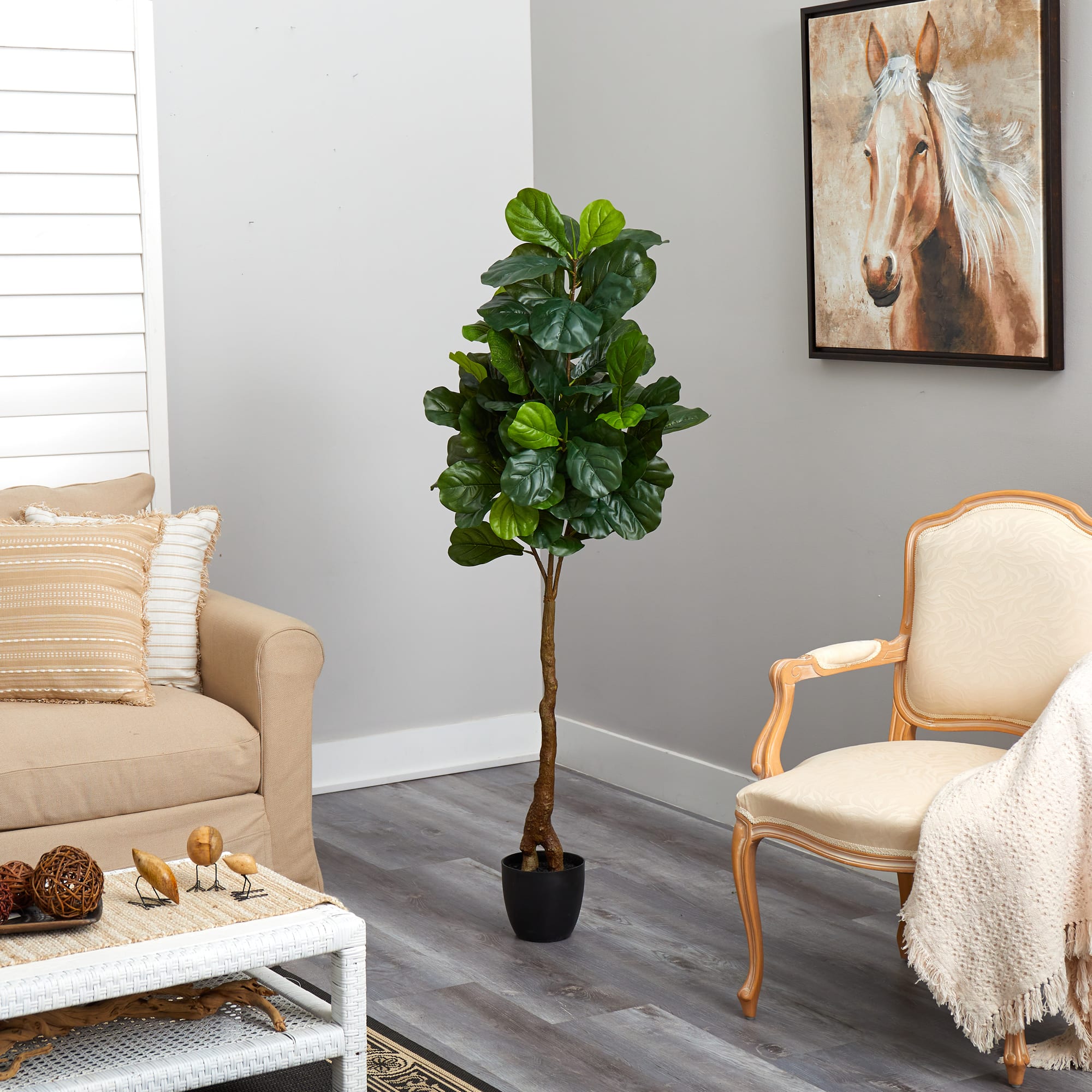 5.3ft. Fiddle Leaf Tree with White Planter