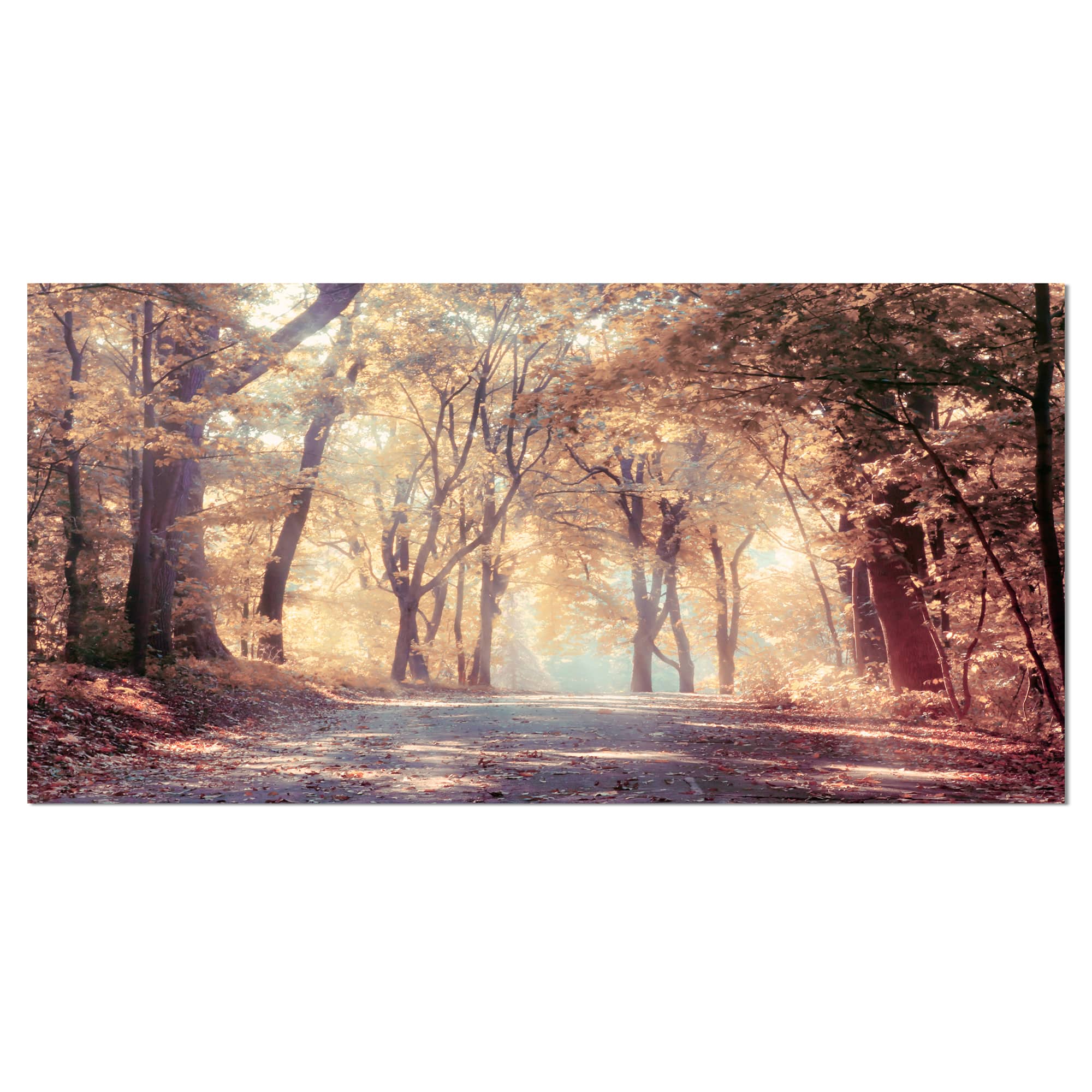 Designart - Golden Autumn Beautiful Forest - Landscape Canvas Art Print