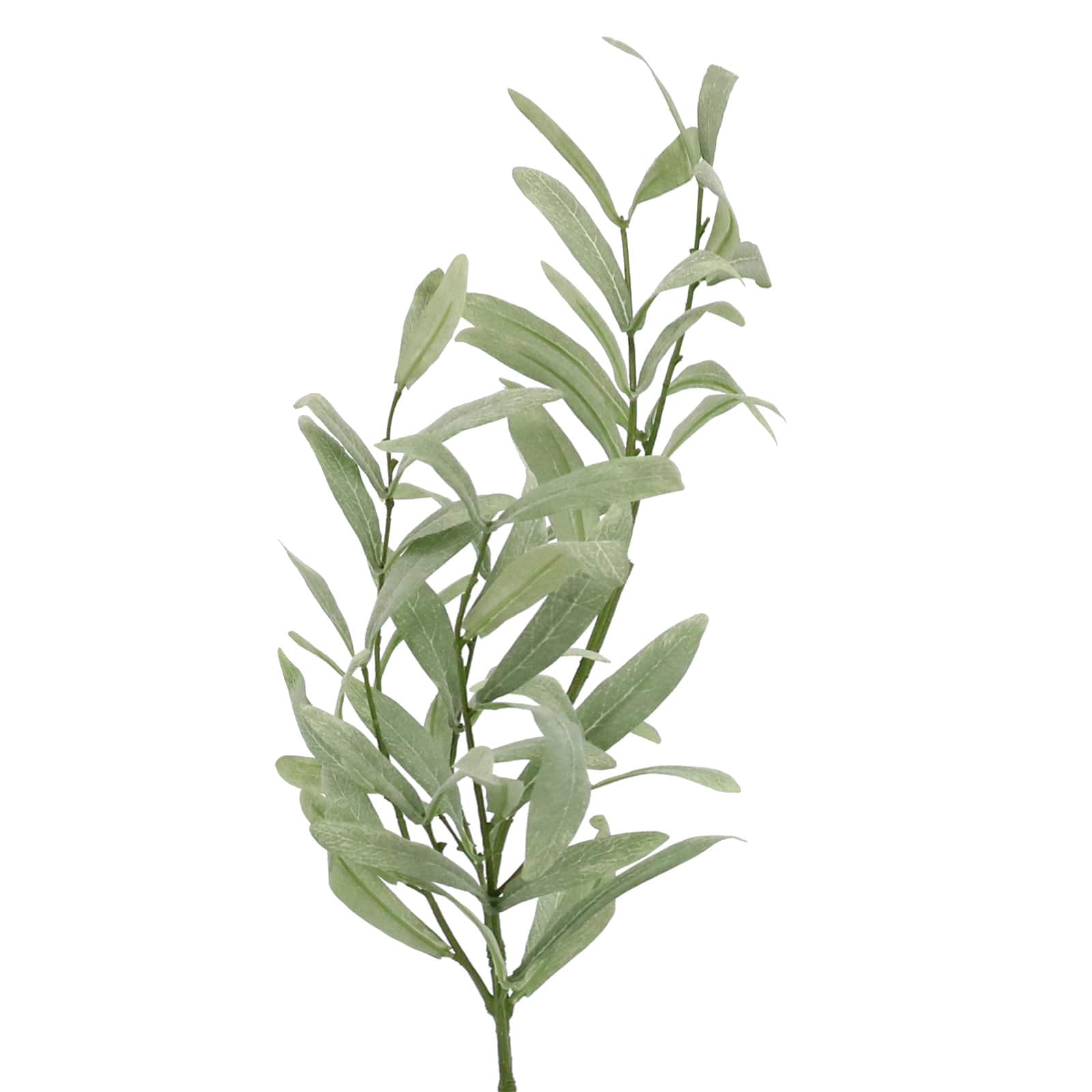 12 Pack: 32" Green Olive Branch Stem by Ashland®