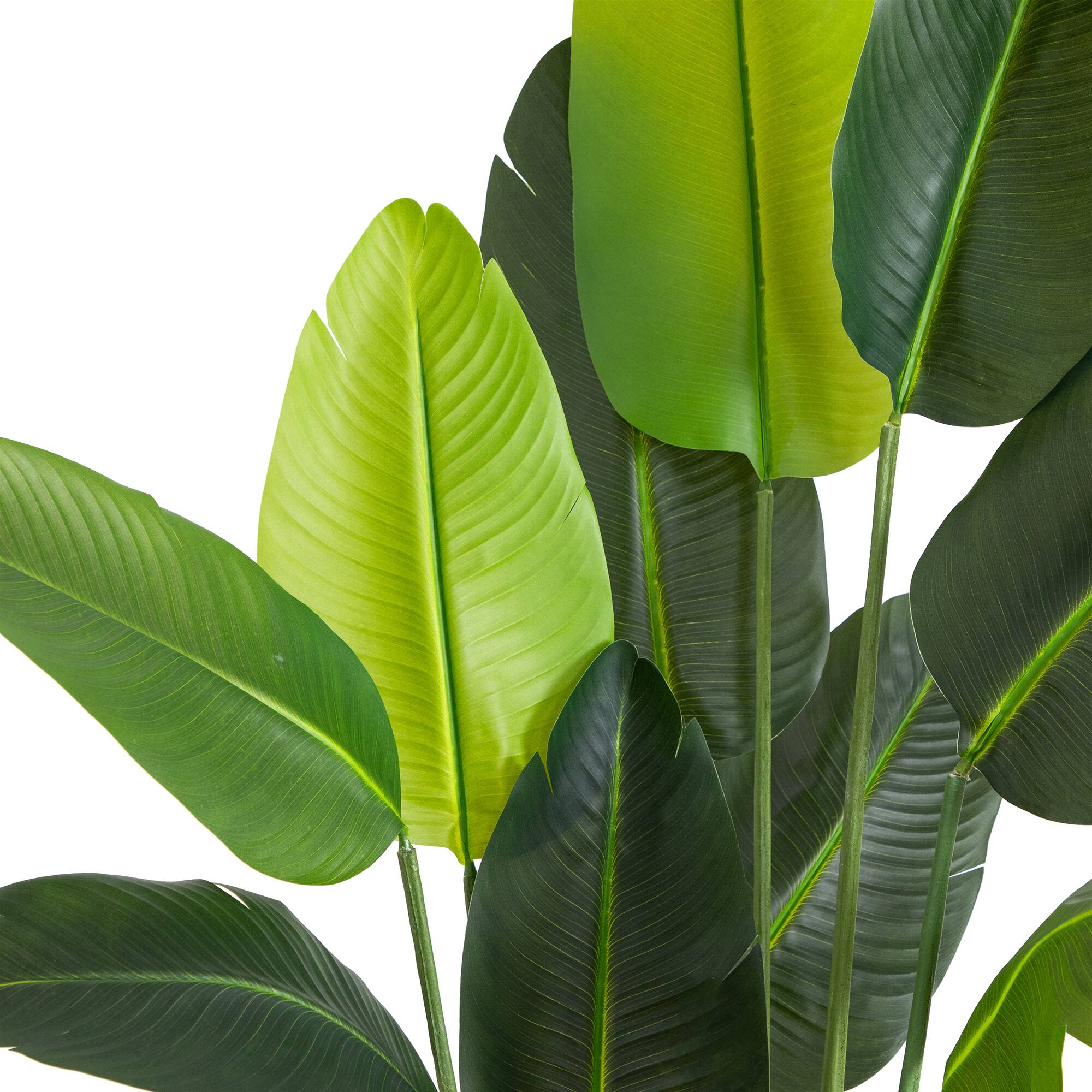 6ft. UV-Resistant Artificial Traveler's Palm Tree