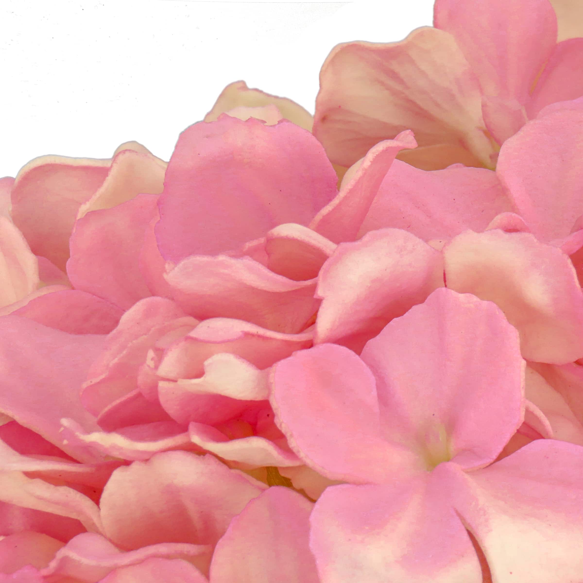 10" Hydrangea Bouquet in Natural Basket