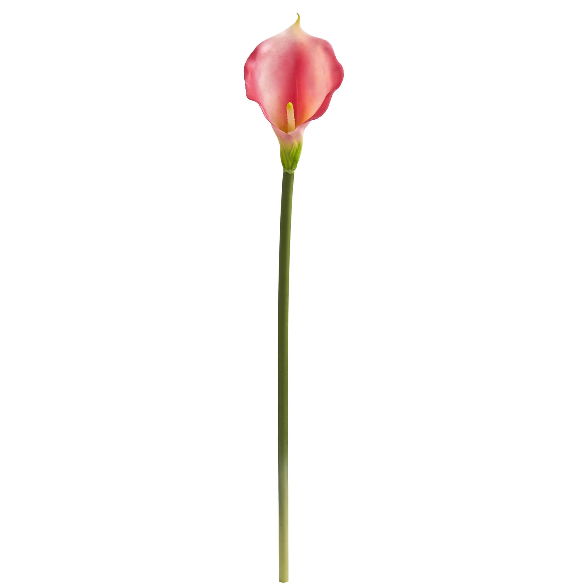 Pink Calla Lily Flower Stems, 12ct.