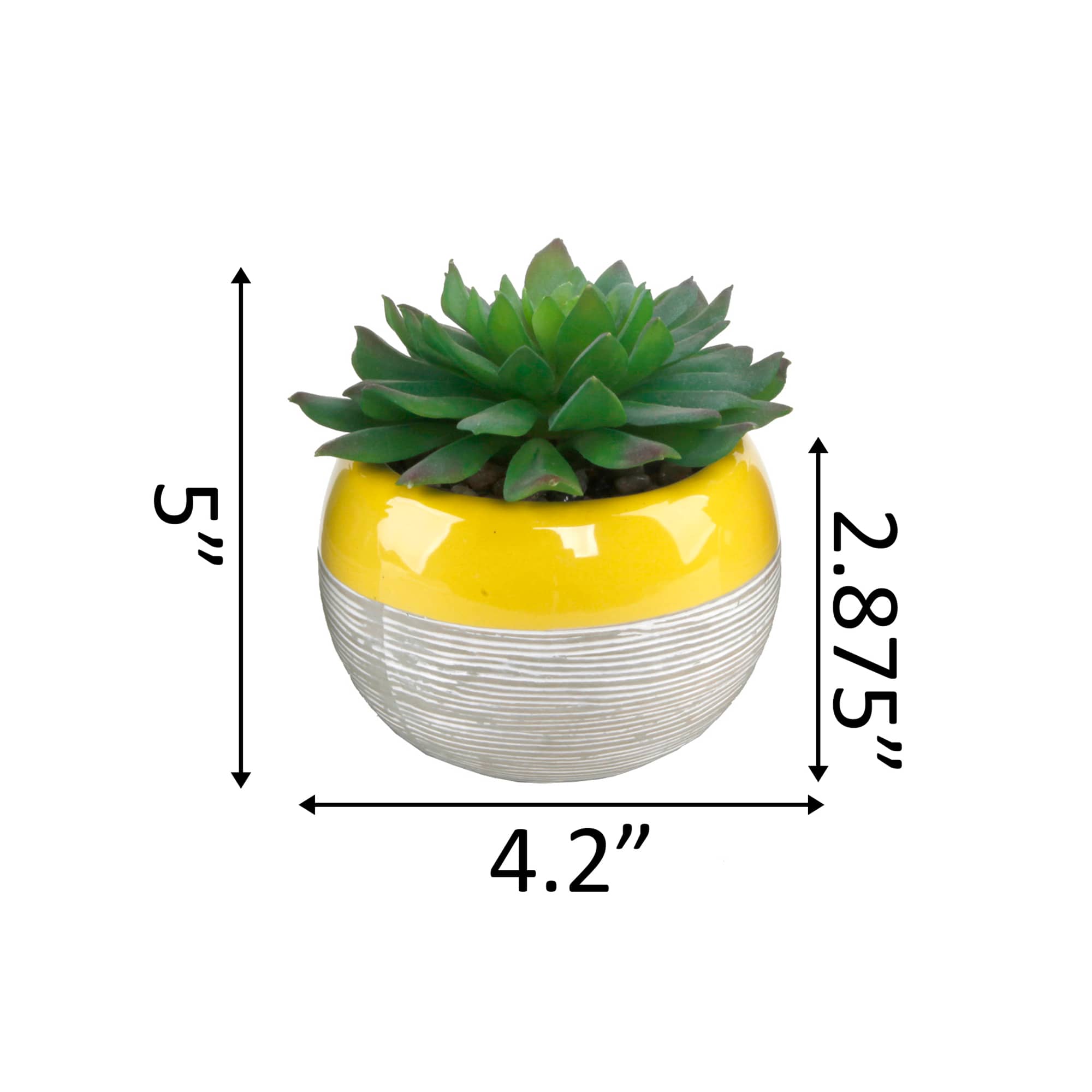 Flora Bunda&#xAE; Succulent In Two Tone Pattern Yellow Ceramic Pot