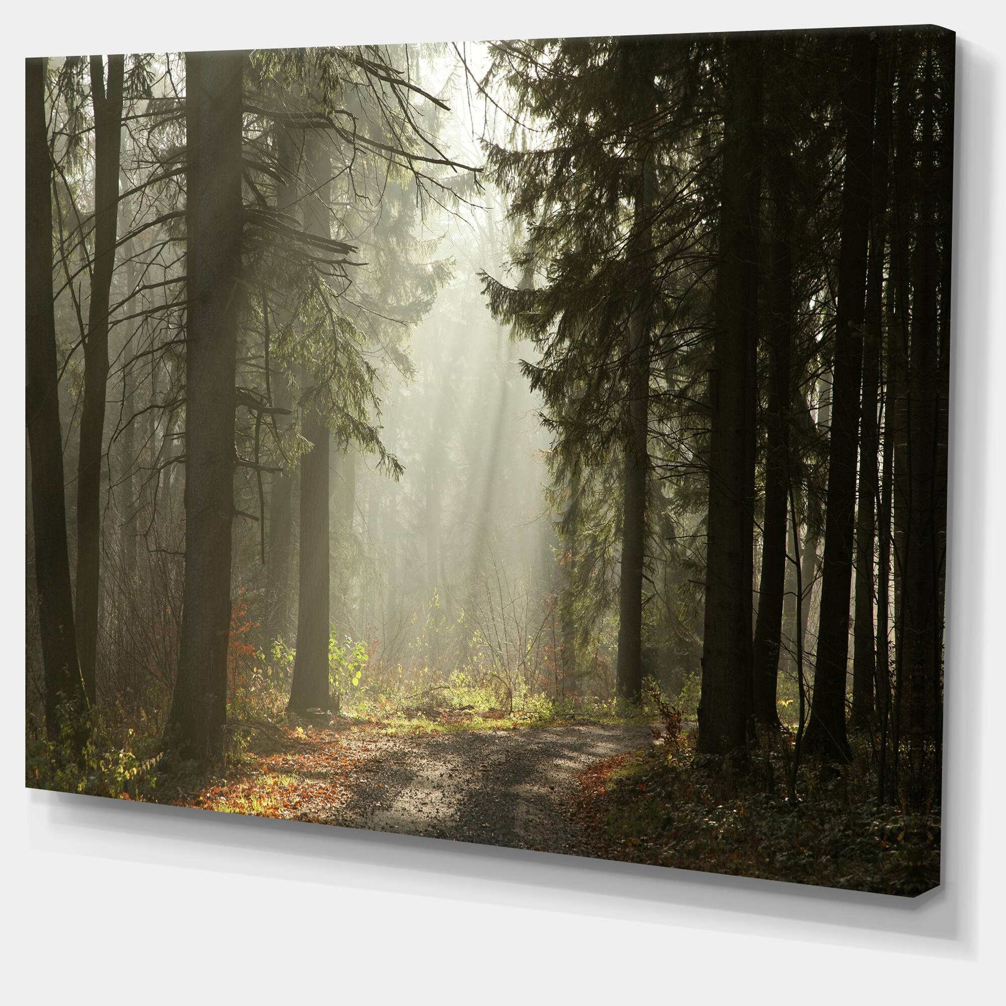 Designart - Dark Green Forest with Sun Rays - Landscape Photography Canvas Print