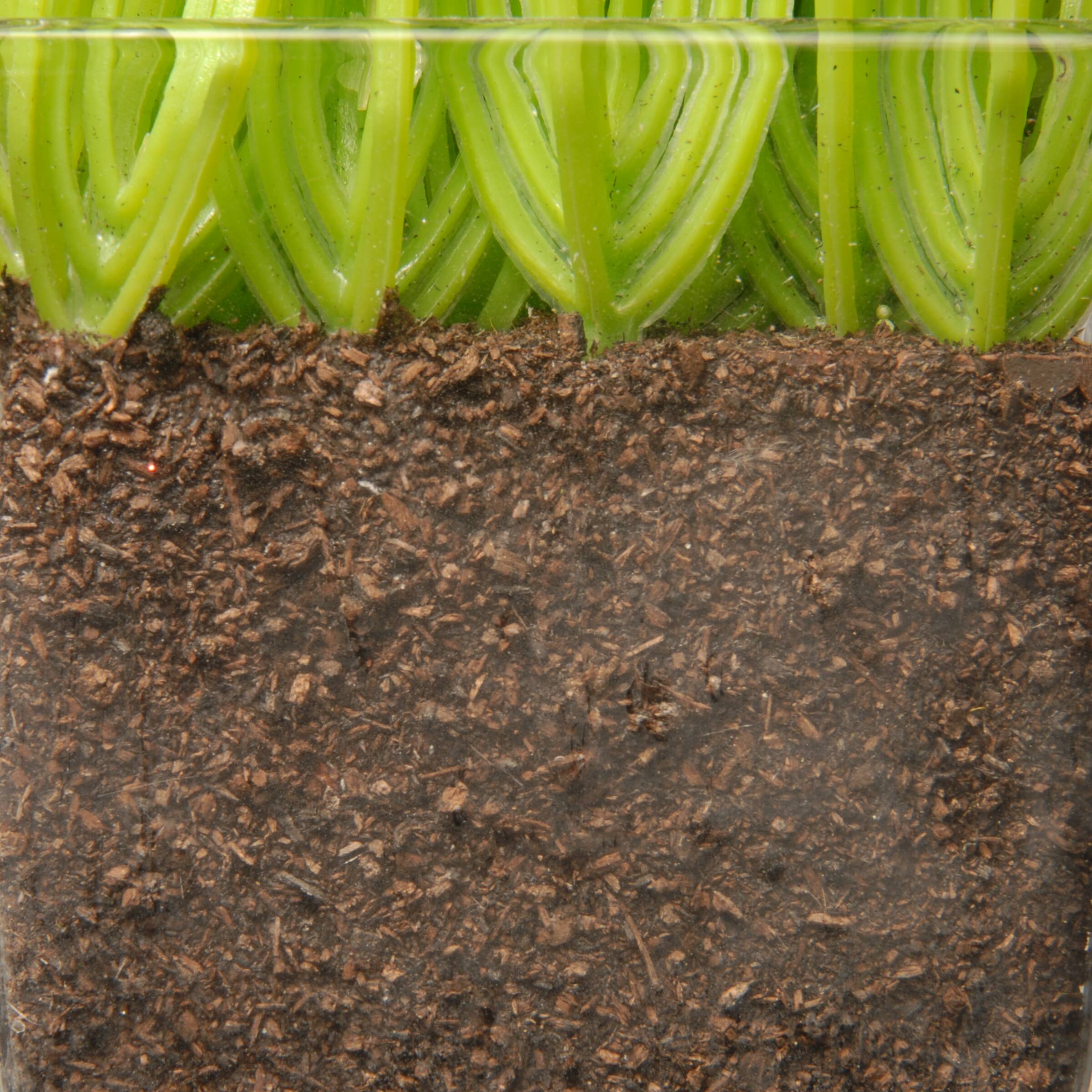 3-Piece Square Sprout-Filled Glass Assortment