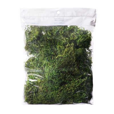 Ashland® Preserved Moss--Forest Green image