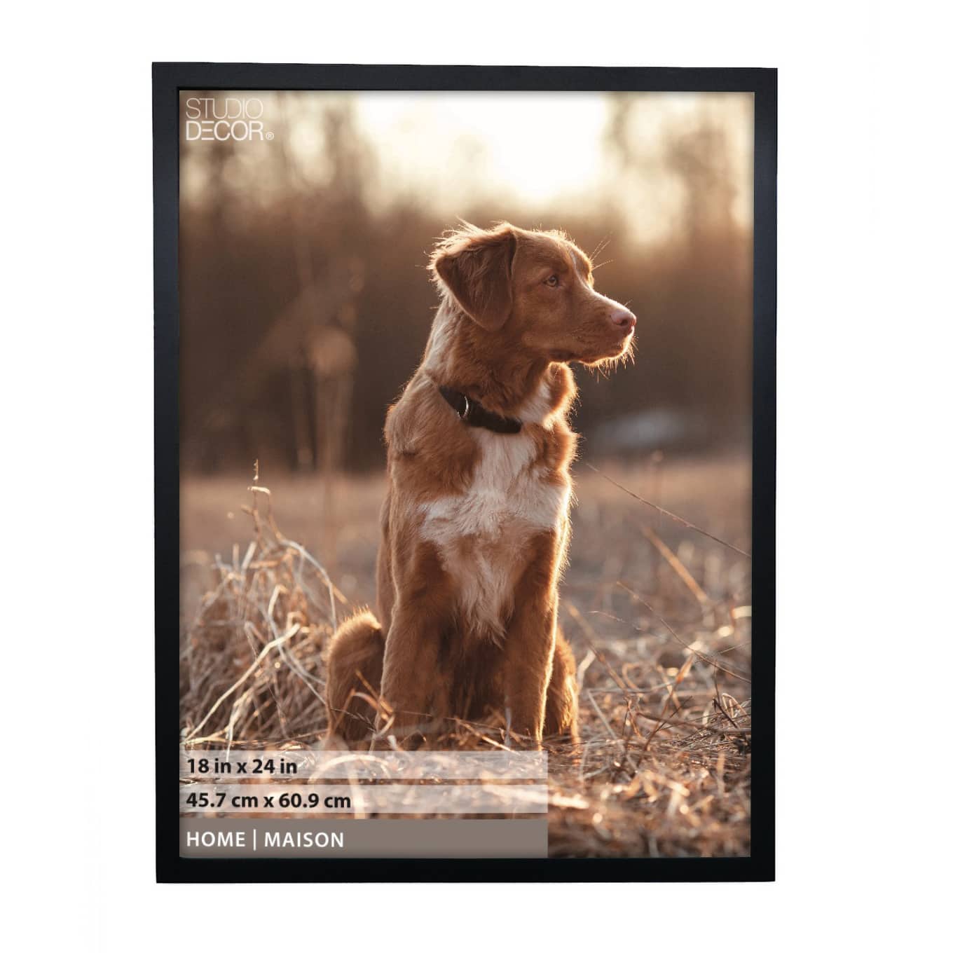 Home Black Tyler Frame by Studio Décor®