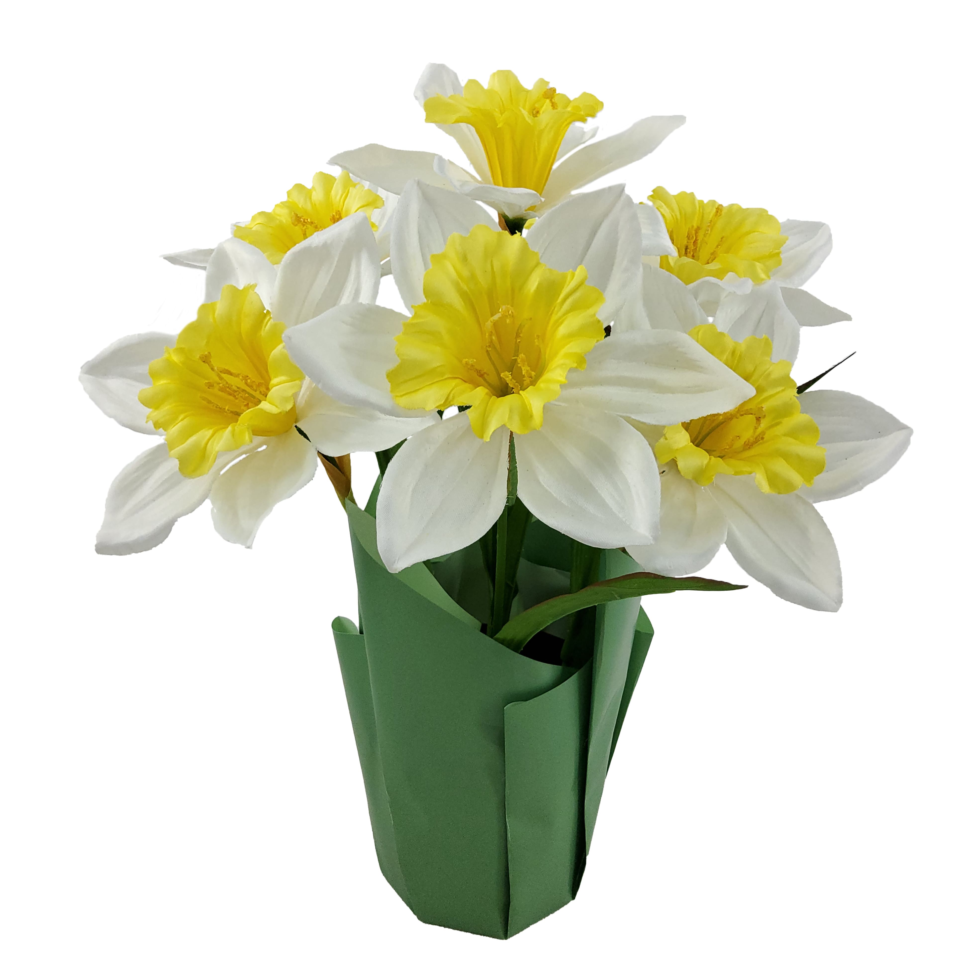 14&#x22; Potted Daffodil Plant by Ashland&#xAE;