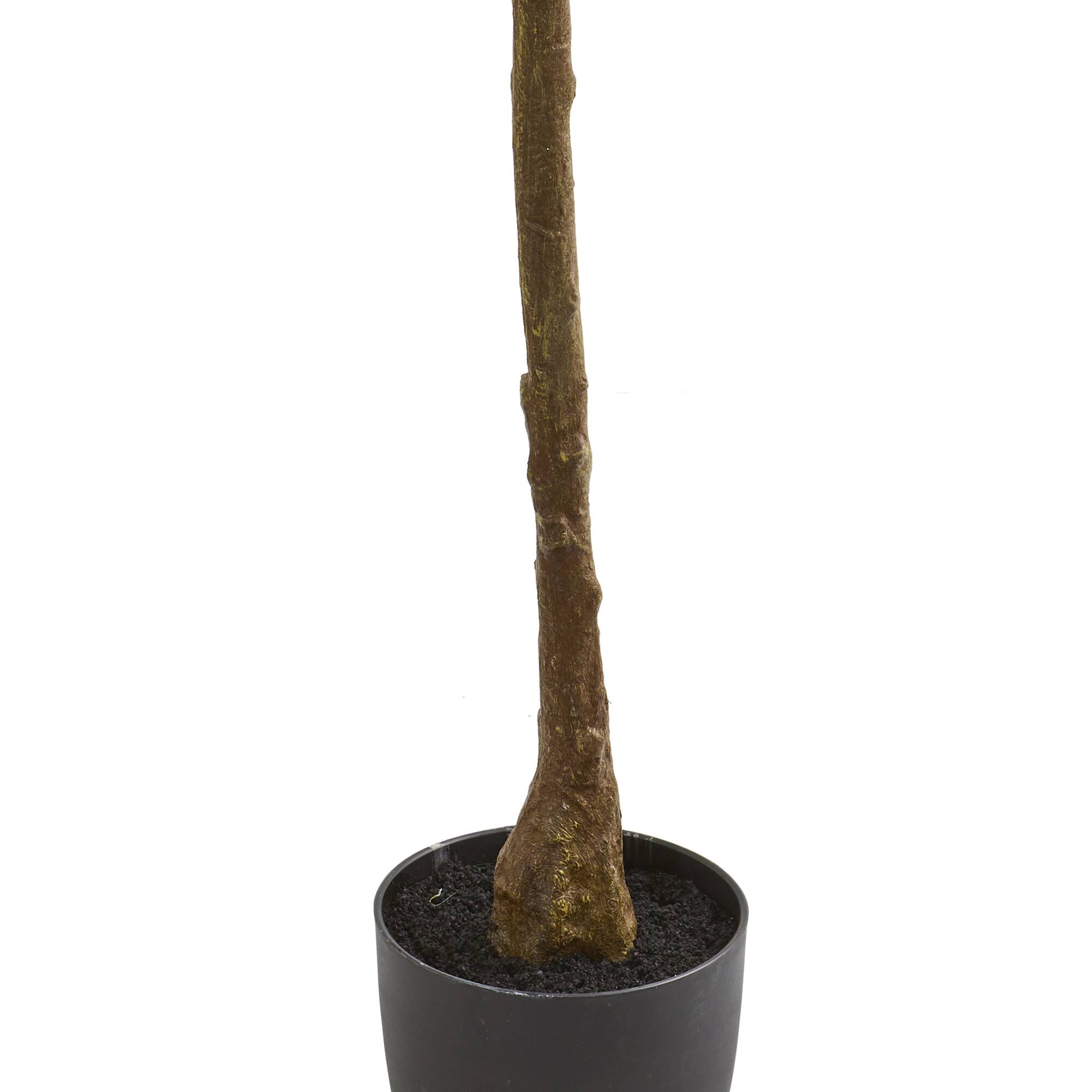 6ft. Potted Rubber Leaf Tree