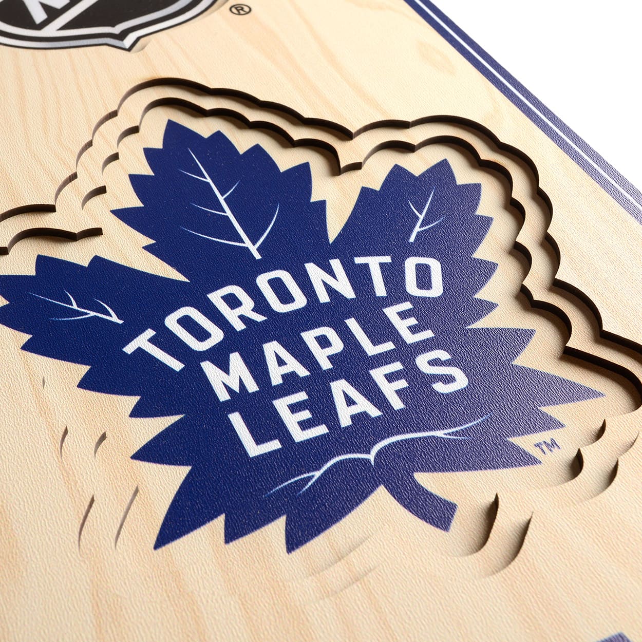 NHL 3D StadiumView Banner
