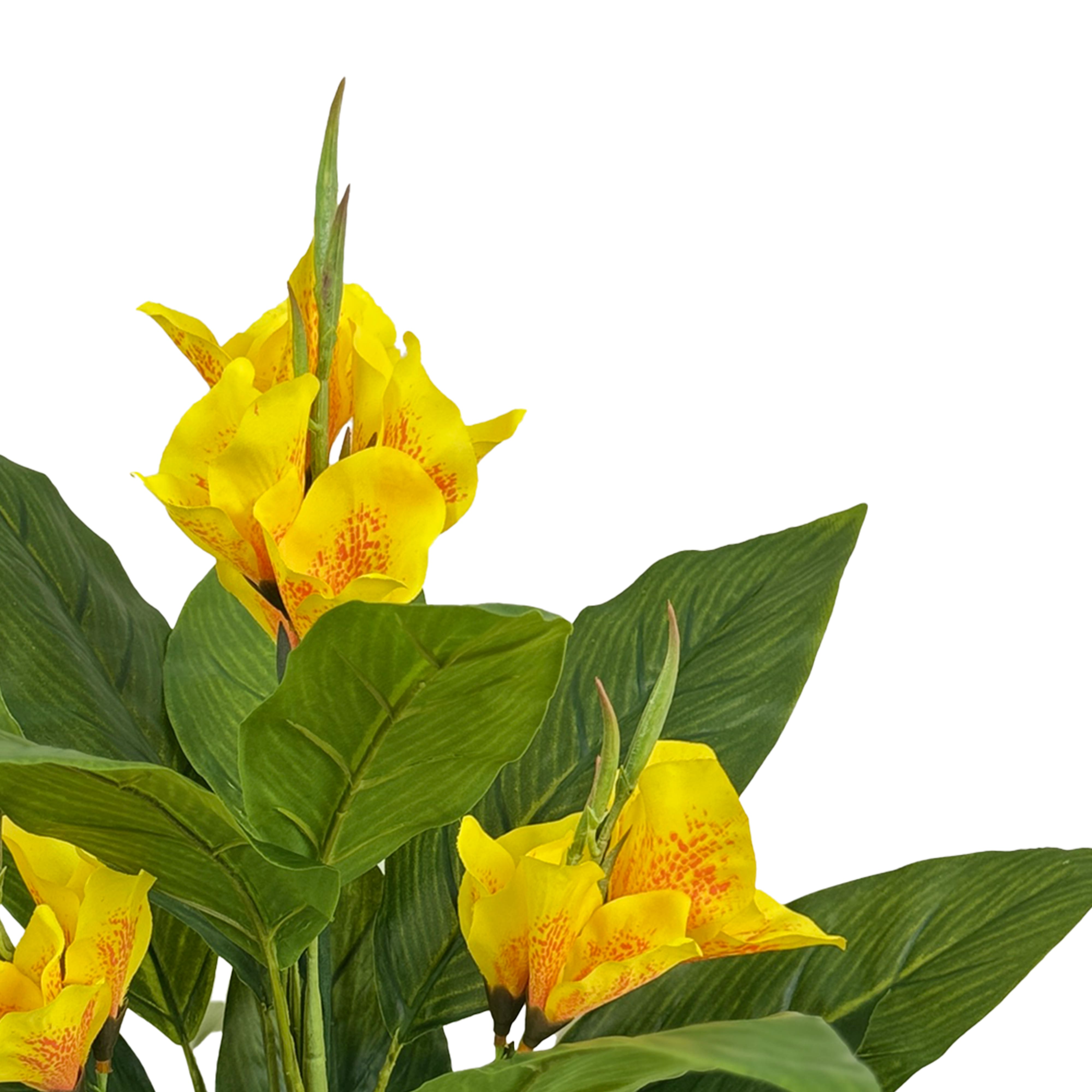 25&#x22; Yellow Canna Bush by Ashland&#xAE;