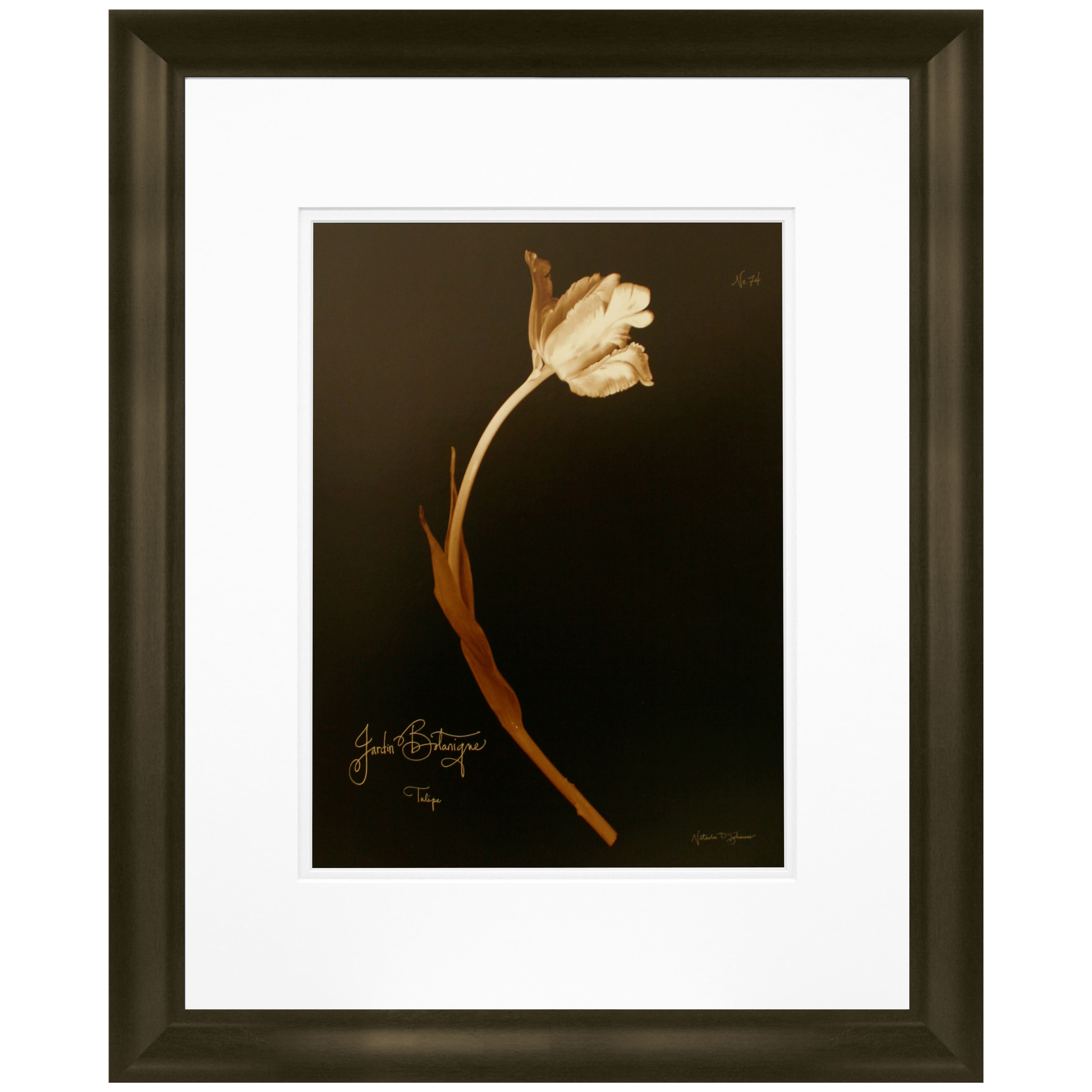 Timeless Frames® Tulip 22 Framed Wall Décor