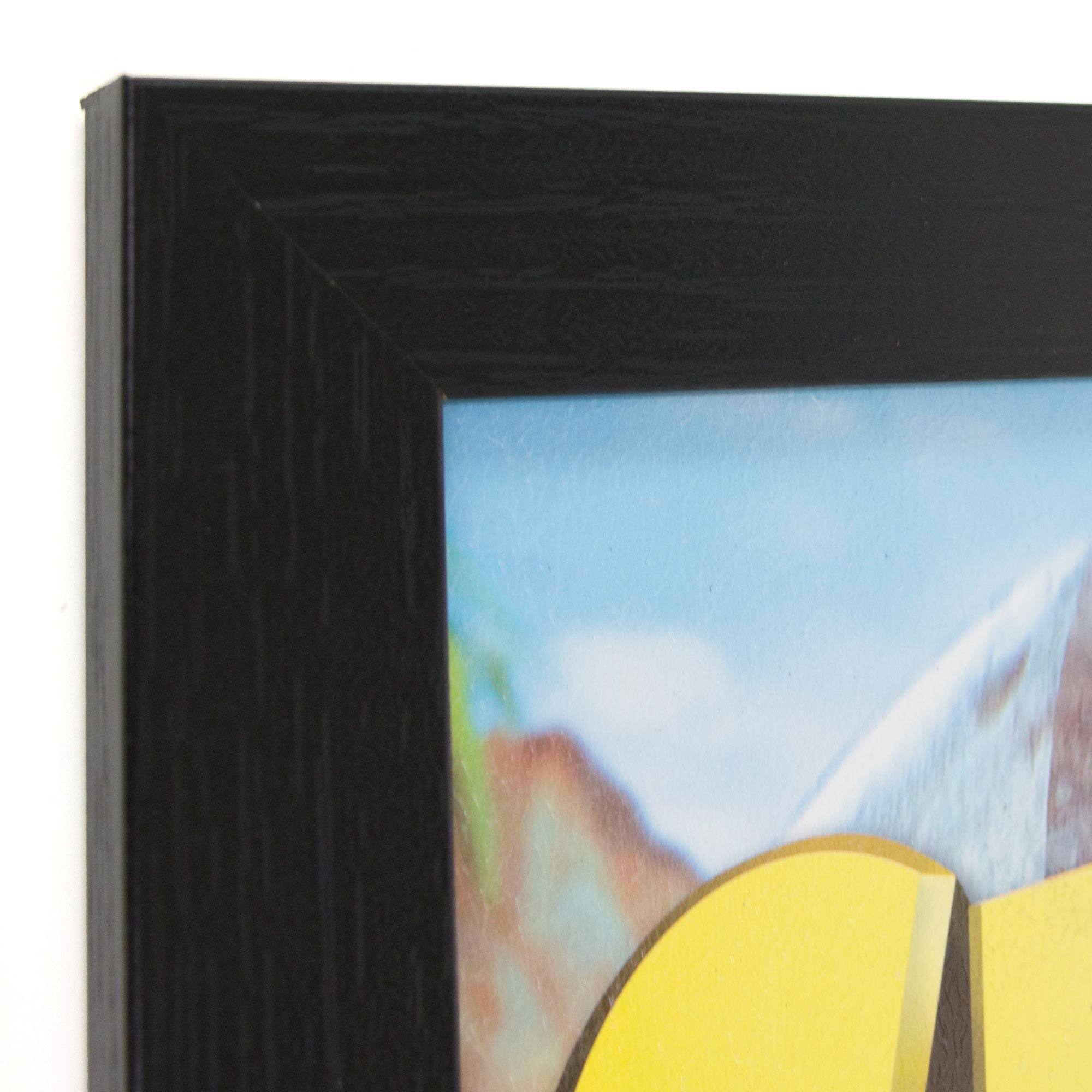 Crash Bandicoot Vintage Video Game Framed Wall Art