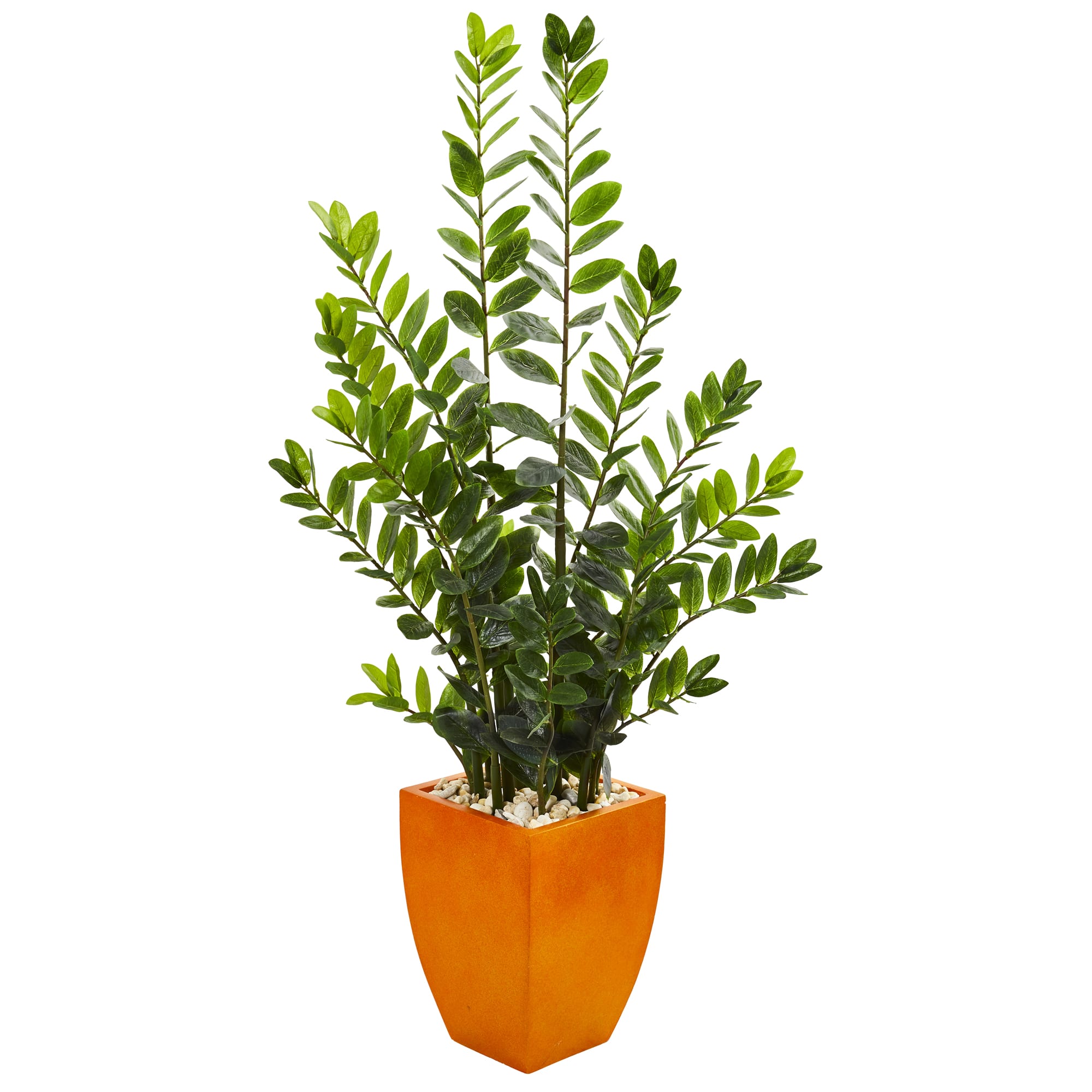 5ft. ZZ Plant in Orange Planter