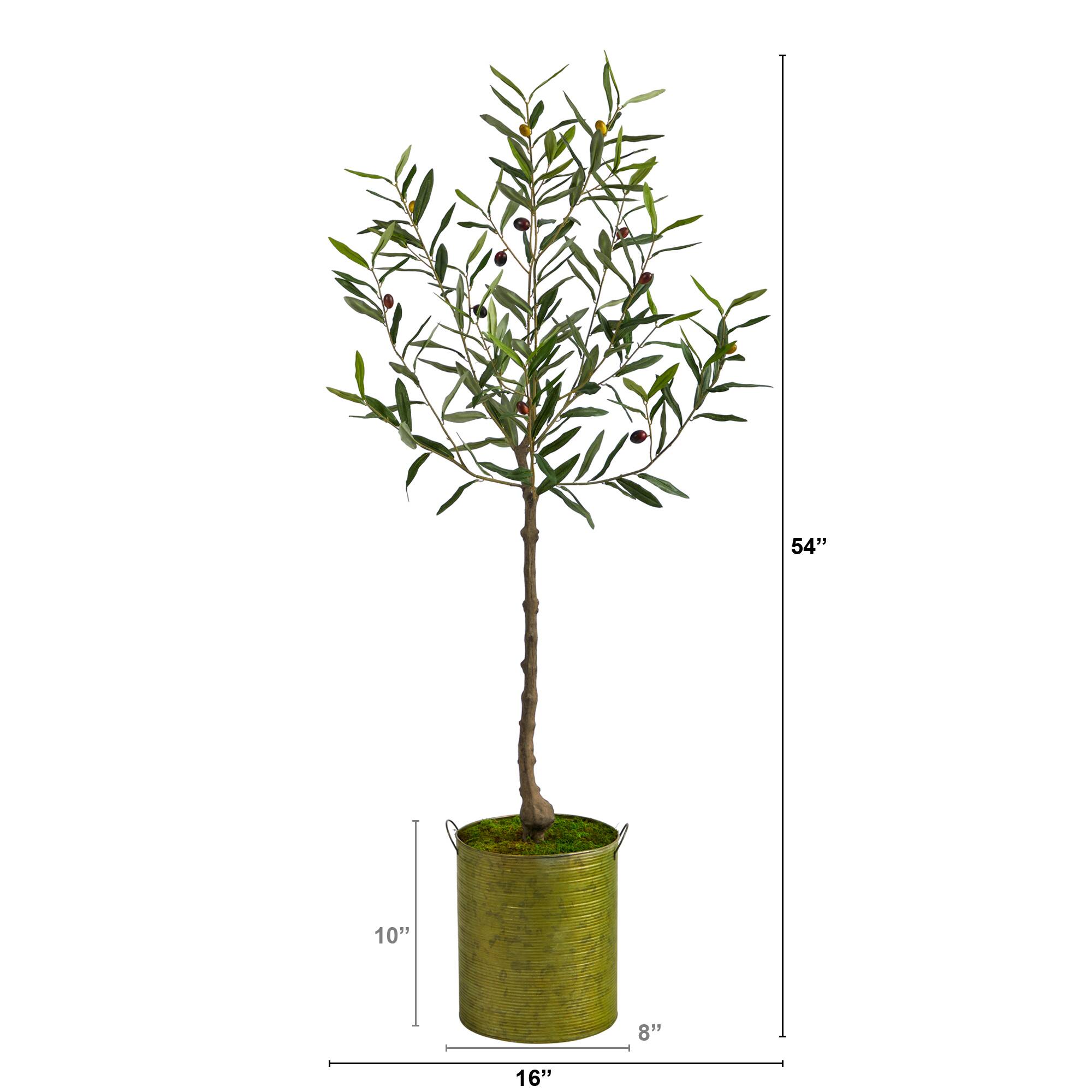 4.5ft. Olive Tree in Green Planter