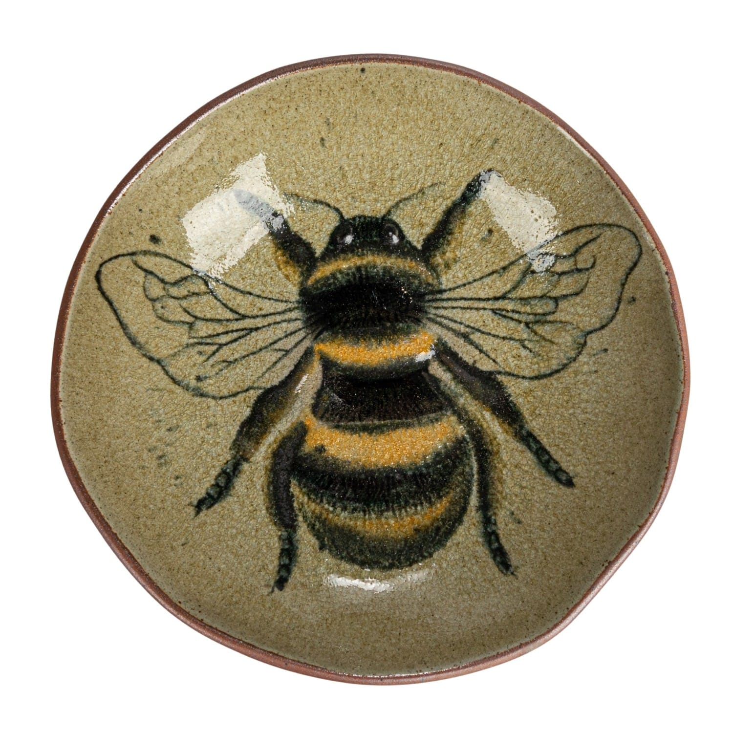 Hello Honey® 9" Insect & Bird Design Stoneware Plate Set