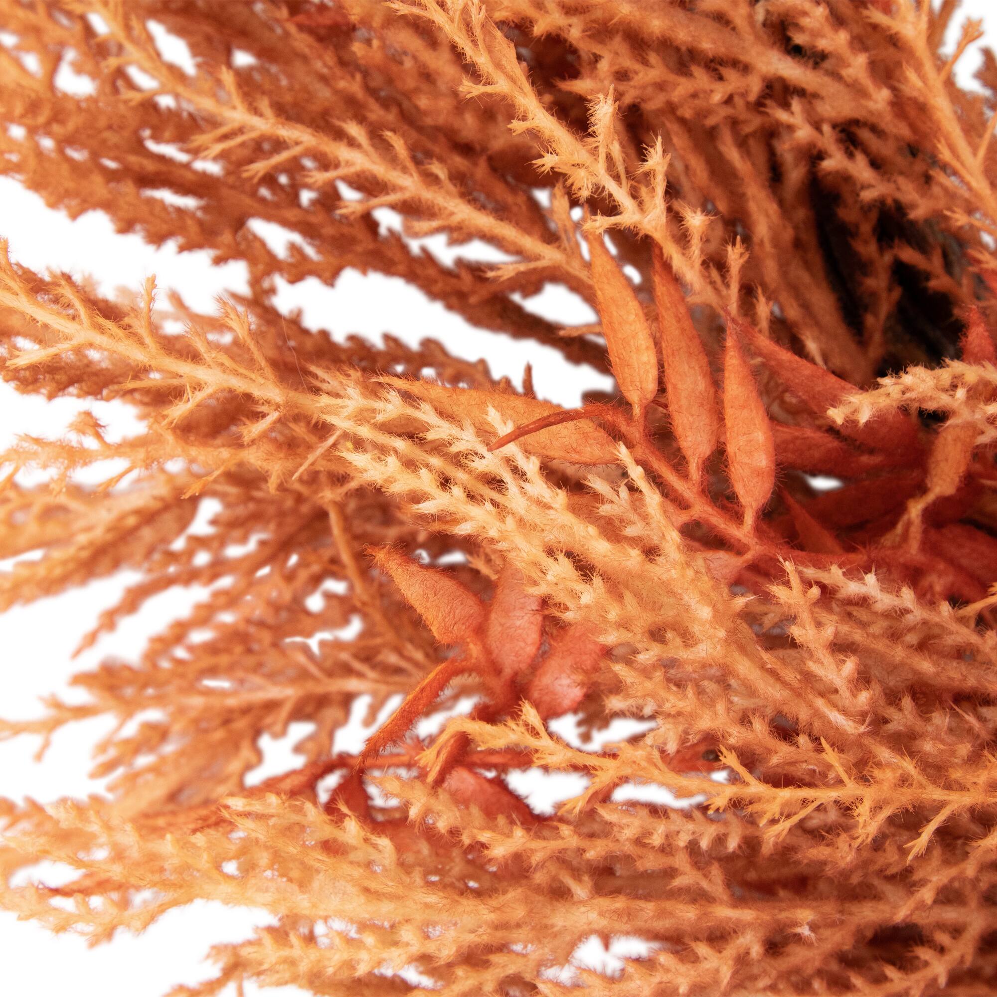 24&#x22; Peachy Pampas Grass Artificial Fall Harvest Wreath