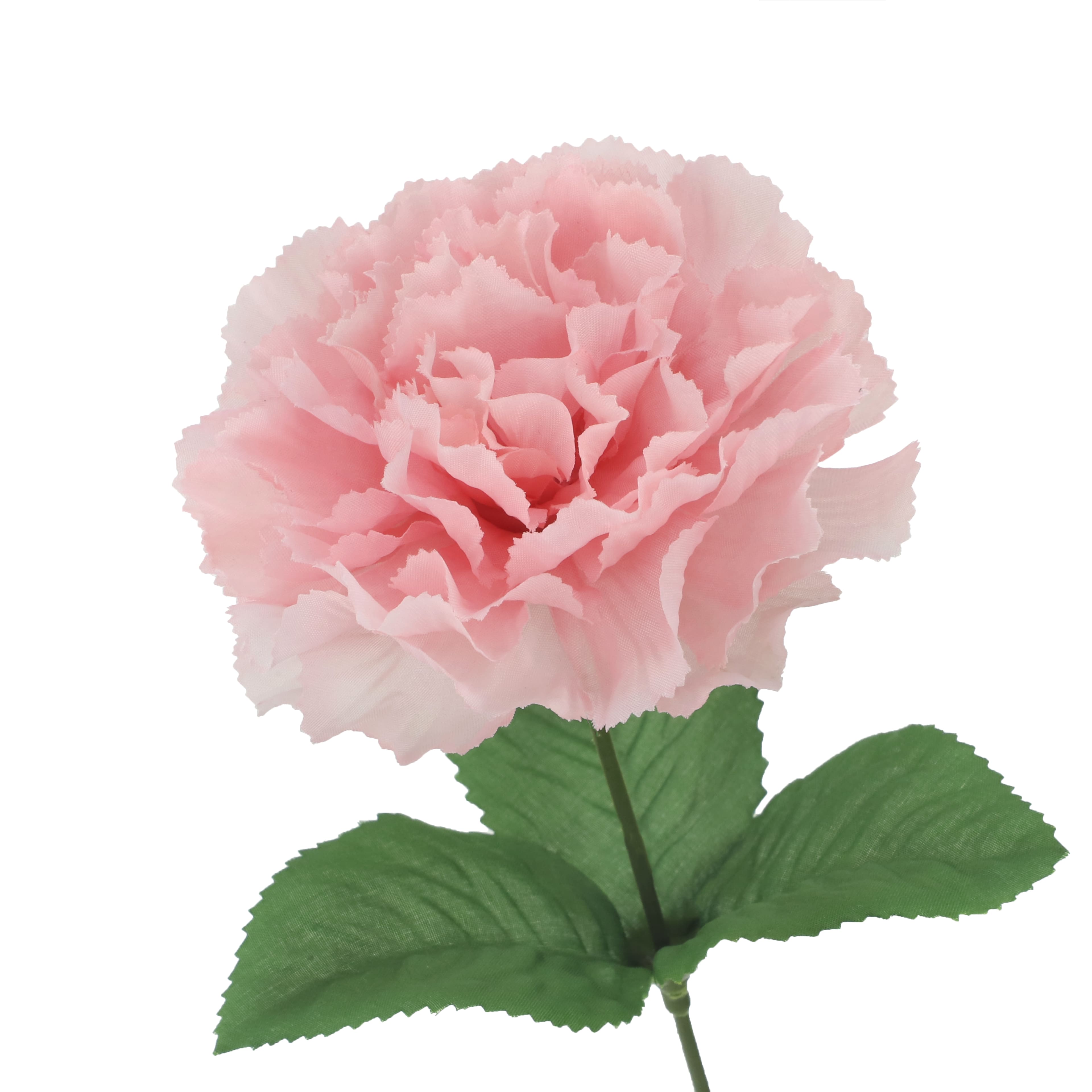 18&#x22; Pink Carnation Bush by Ashland&#xAE;